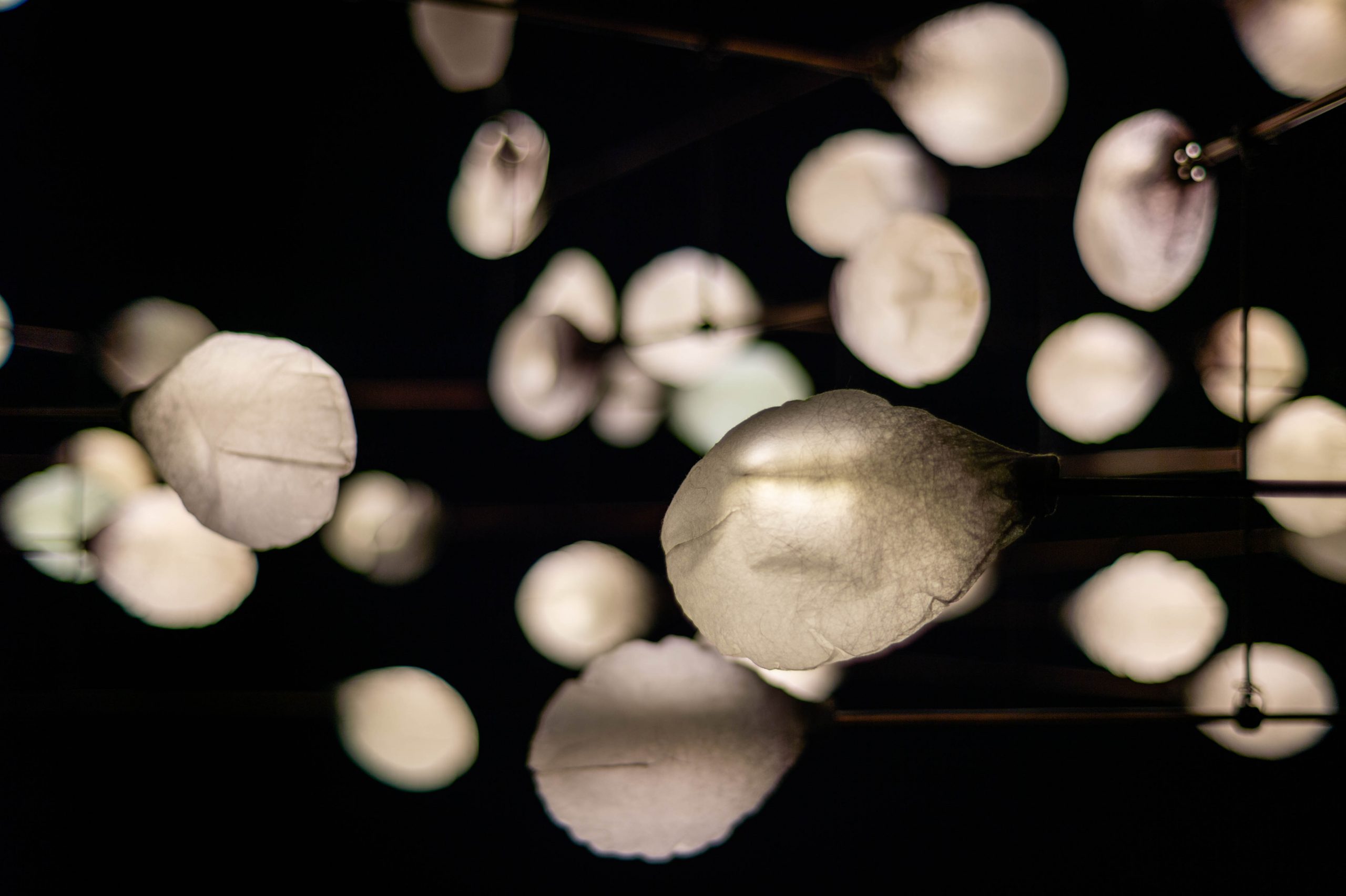 Aufgenommen mit Nikon Df und Carl Zeiss Planar 1,4/50 ZF.2