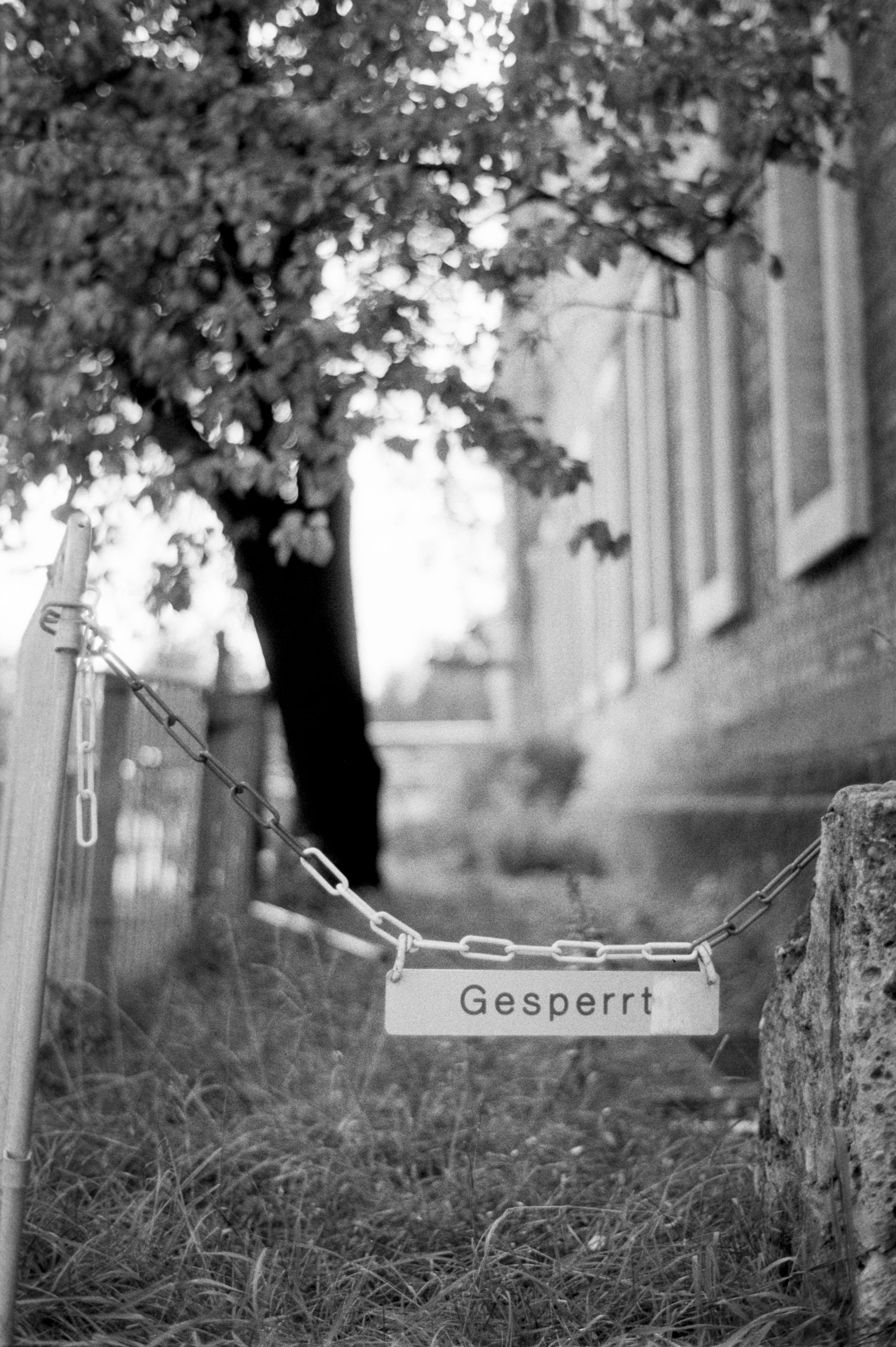 Aufgenommen mit Nikon FM2 und Carl Zeiss Planar 1,4/50 ZF.2 auf Agfa APX100 Film