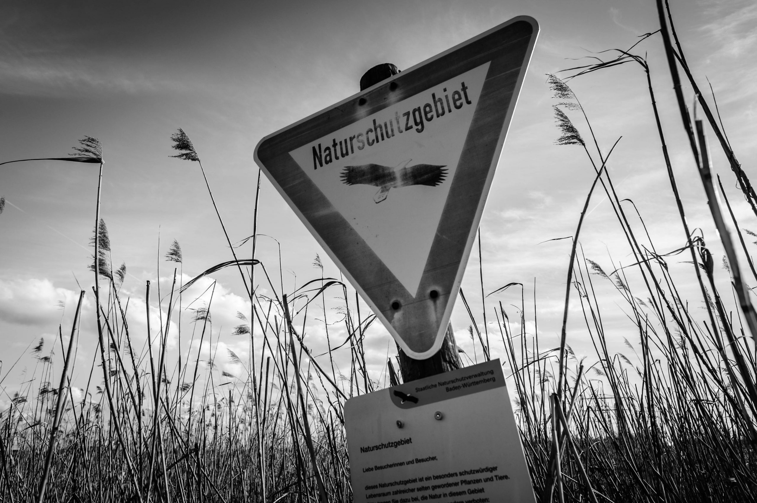 Beispielfoto, aufgenommen mit Nikon AI-s Nikkor 24mm f/2.8