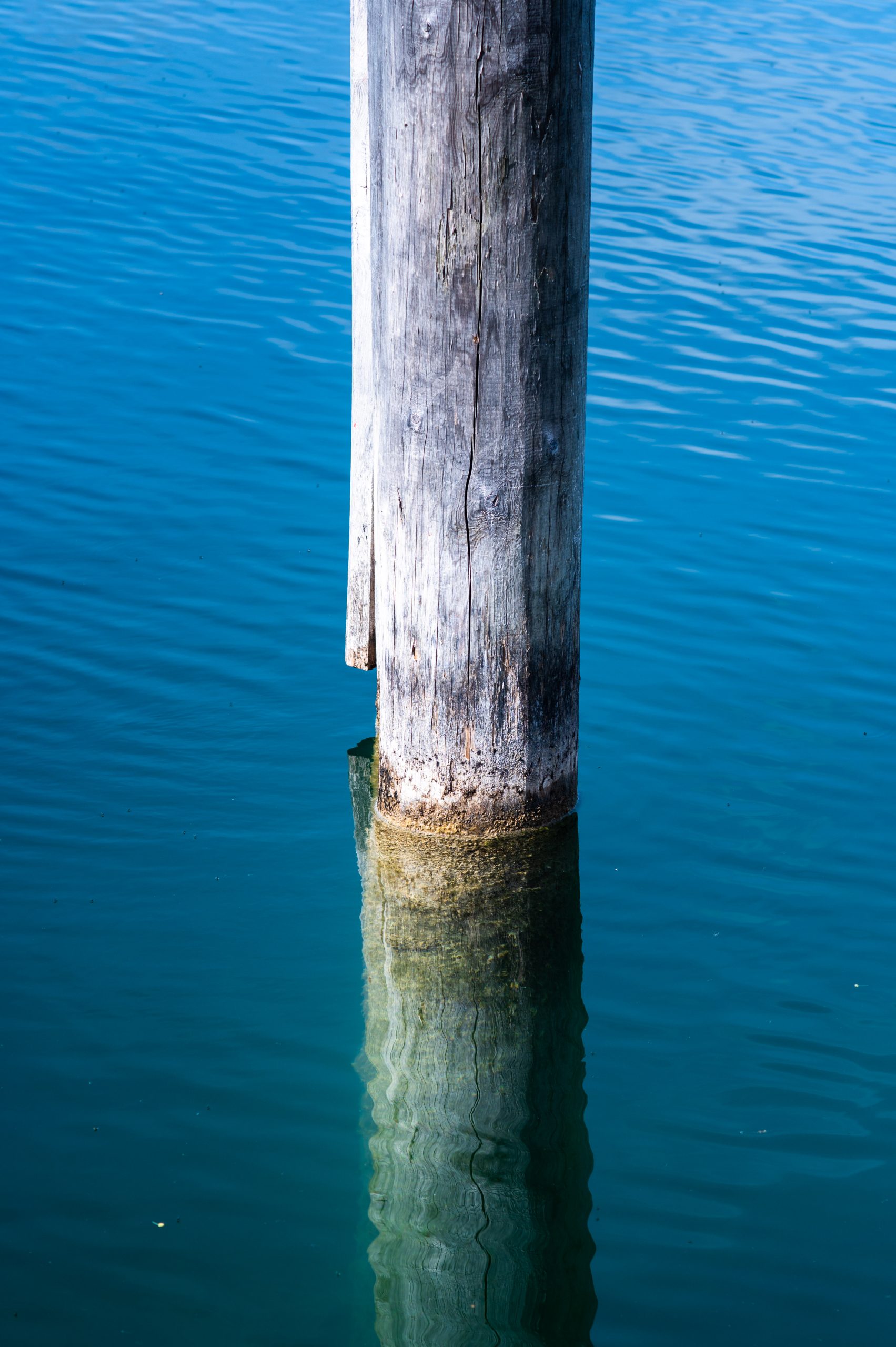 Fotografiert dem Tokina RMC 135mm f/2.8 an einer Nikon D780