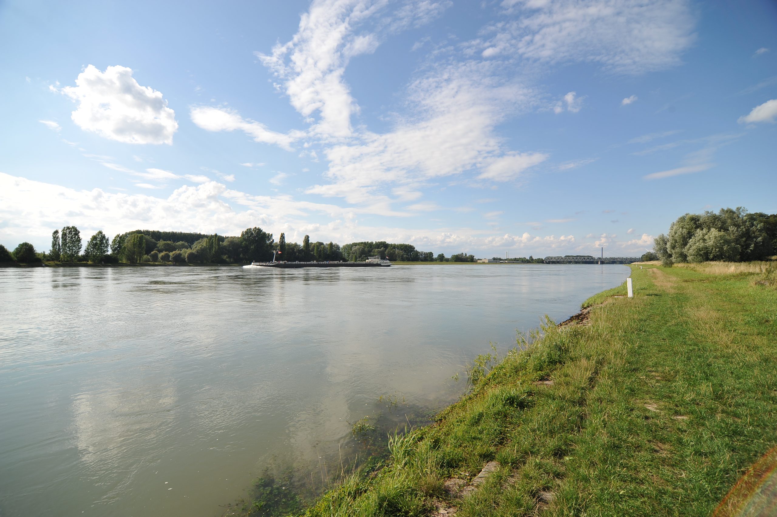 Rhein bei Maxau / Karlsruhe fotografiert mit Tokina AT-X 124 AF PRO DX an einer Nikon D700