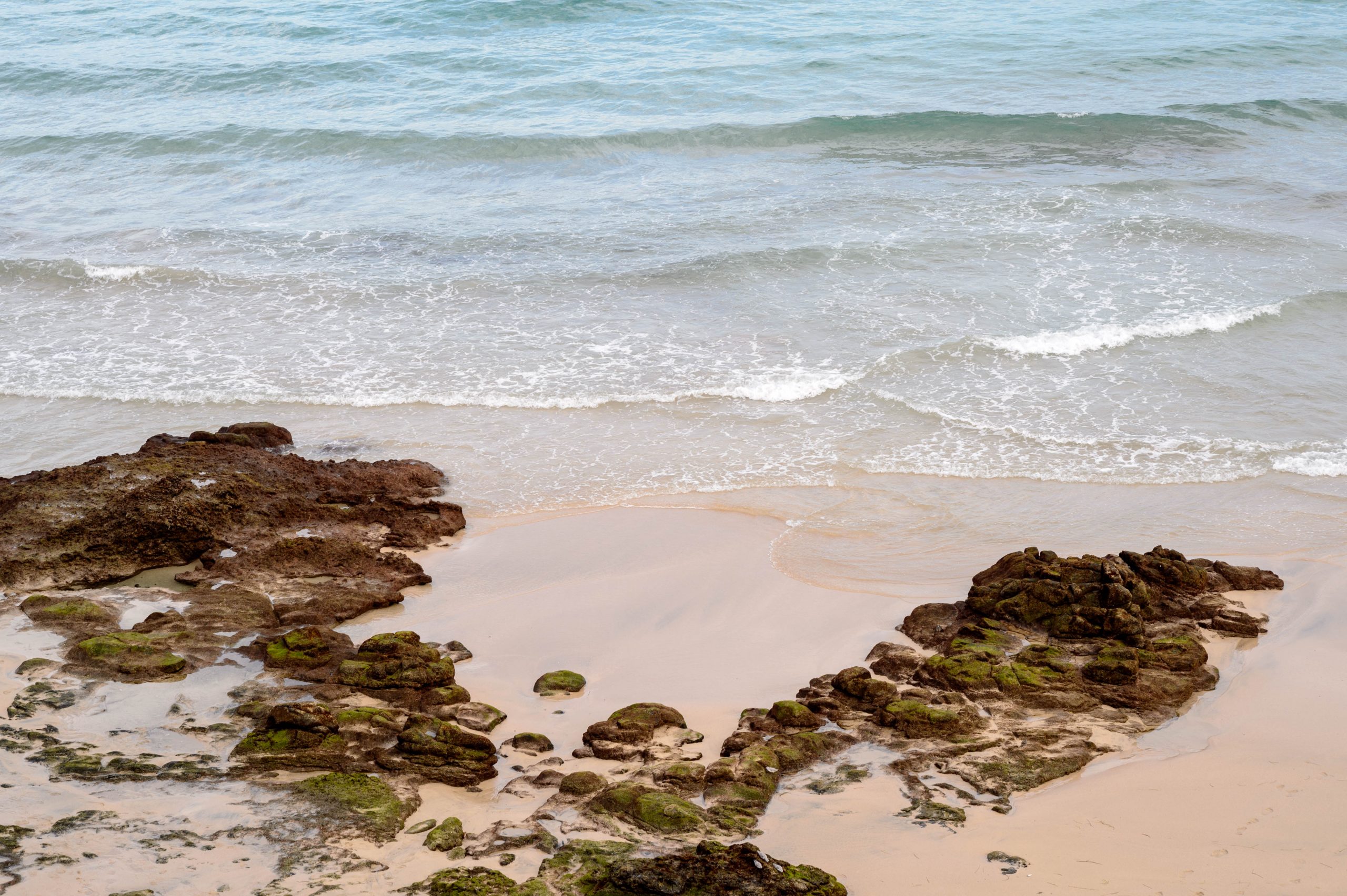 Fotografiert mit Nikon AI-s Nikkor 85mm f/2.0 an einer Nikon Df