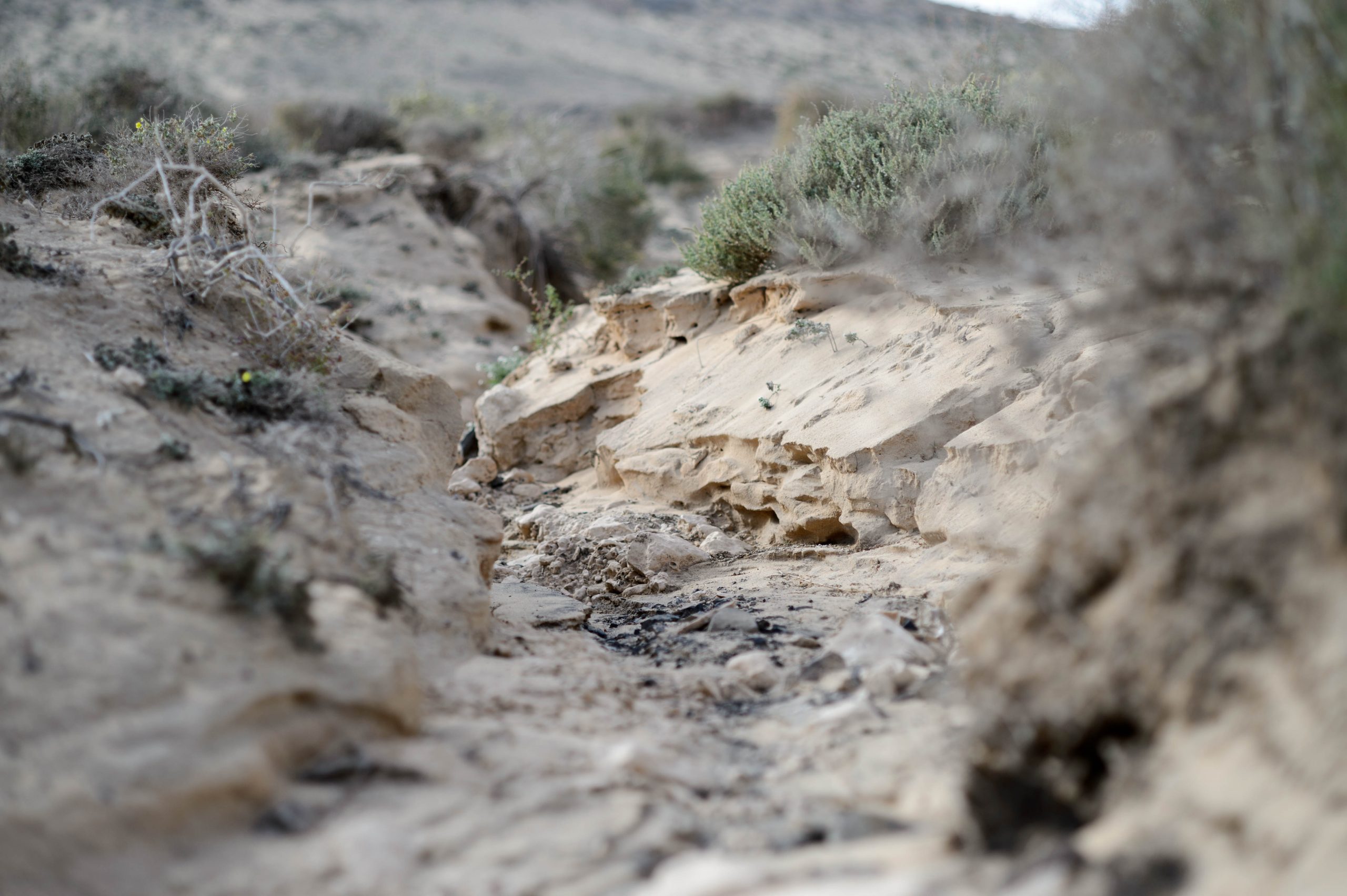 Fotografiert mit Nikon AI-s Nikkor 85mm f/2.0 an einer Nikon Df