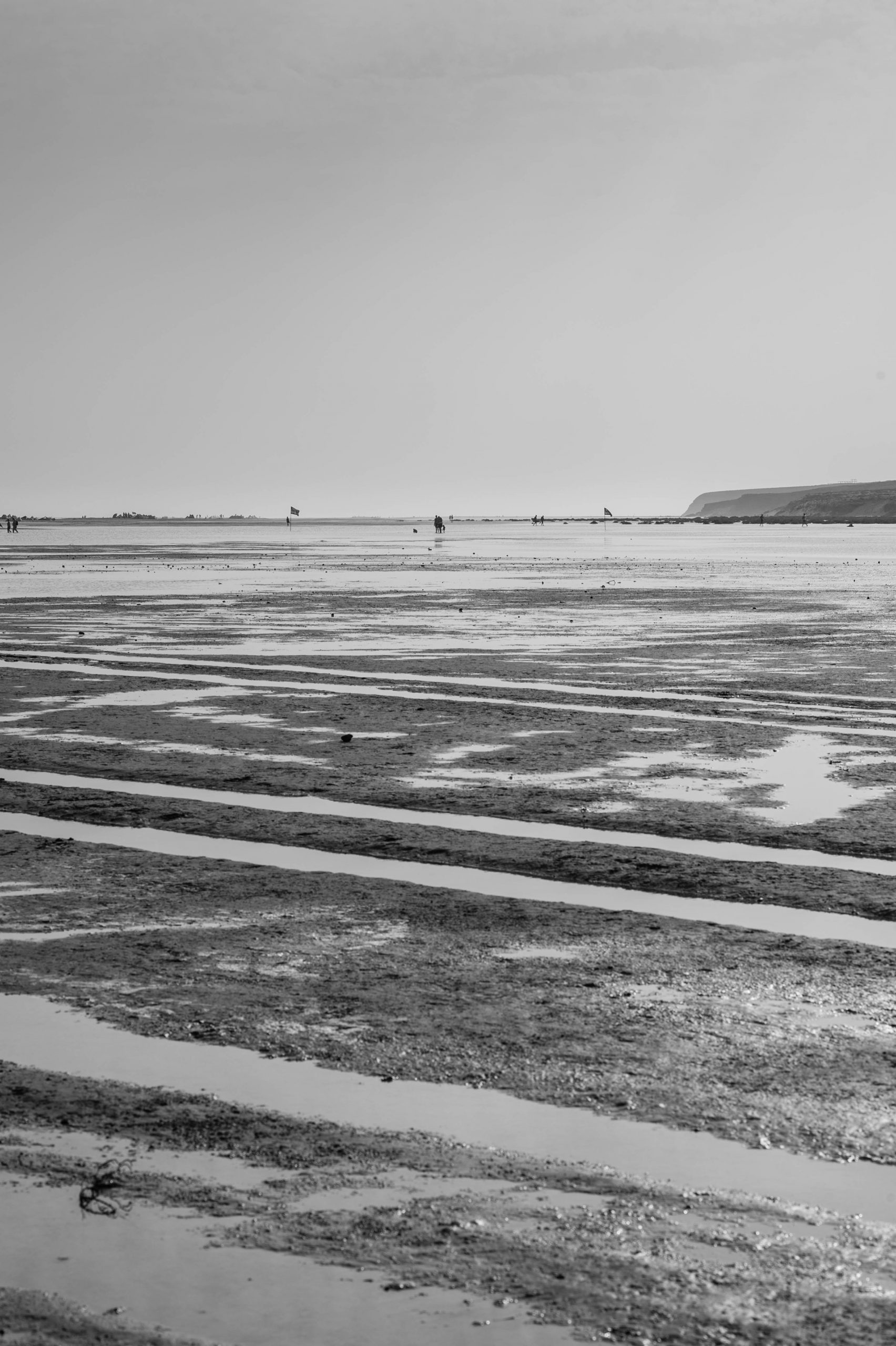 Fotografiert mit Nikon AI-s Nikkor 85mm f/2.0 an einer Nikon Df