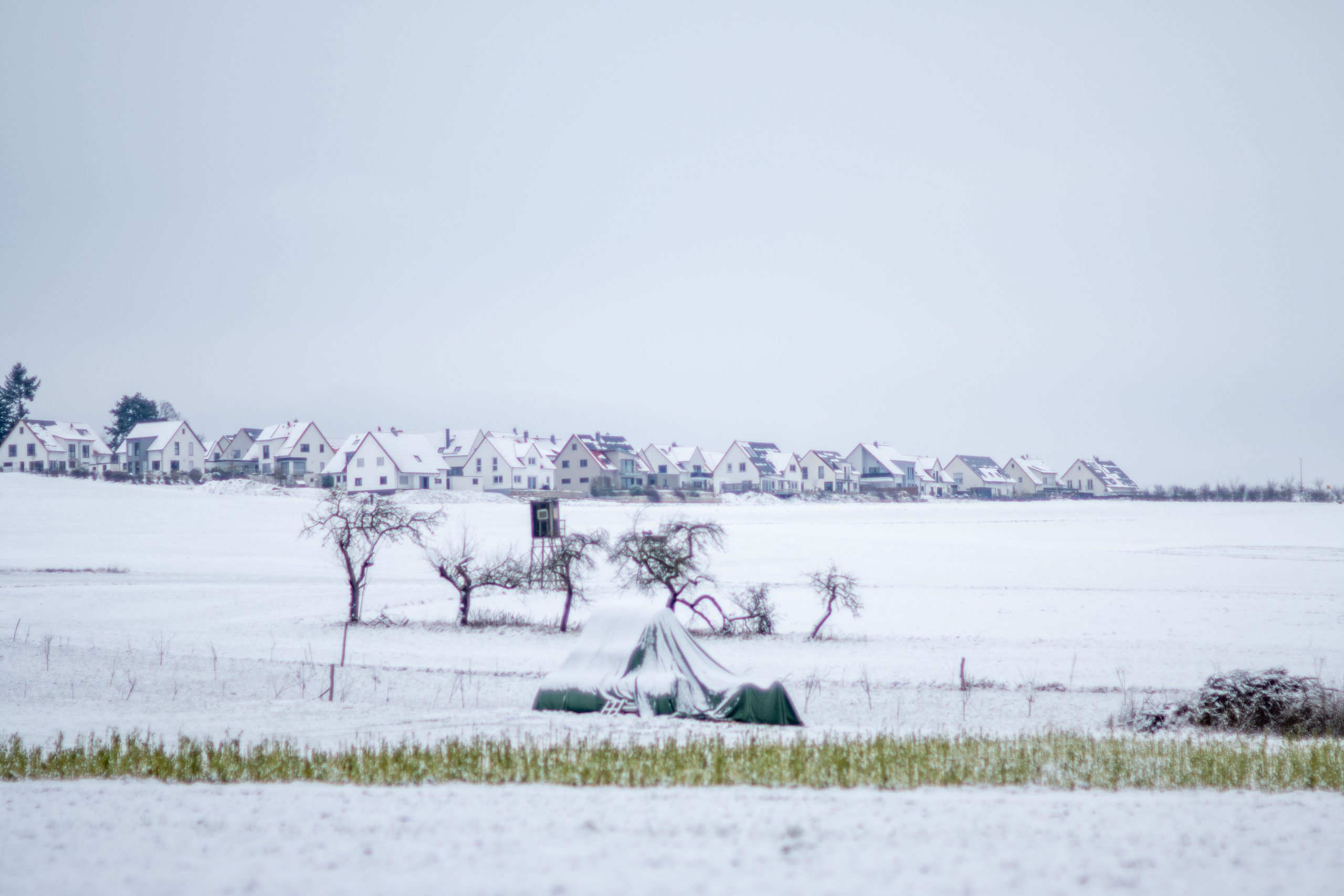 Aufnahme mit dem Nikon AI-s Nikkor 85mm f/1.4 bei f/1.4
