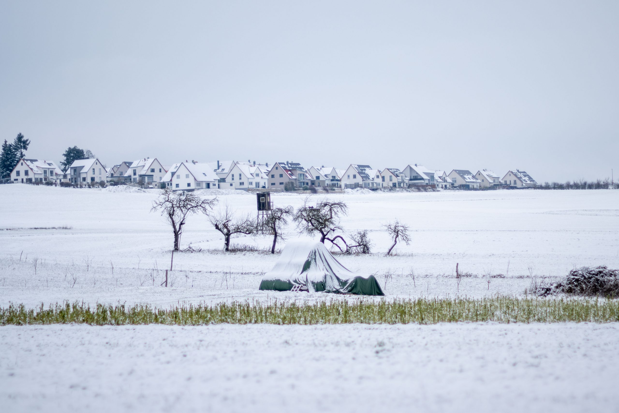 Aufnahme mit dem Nikon AI-s Nikkor 85mm f/1.4 bei f/2.0