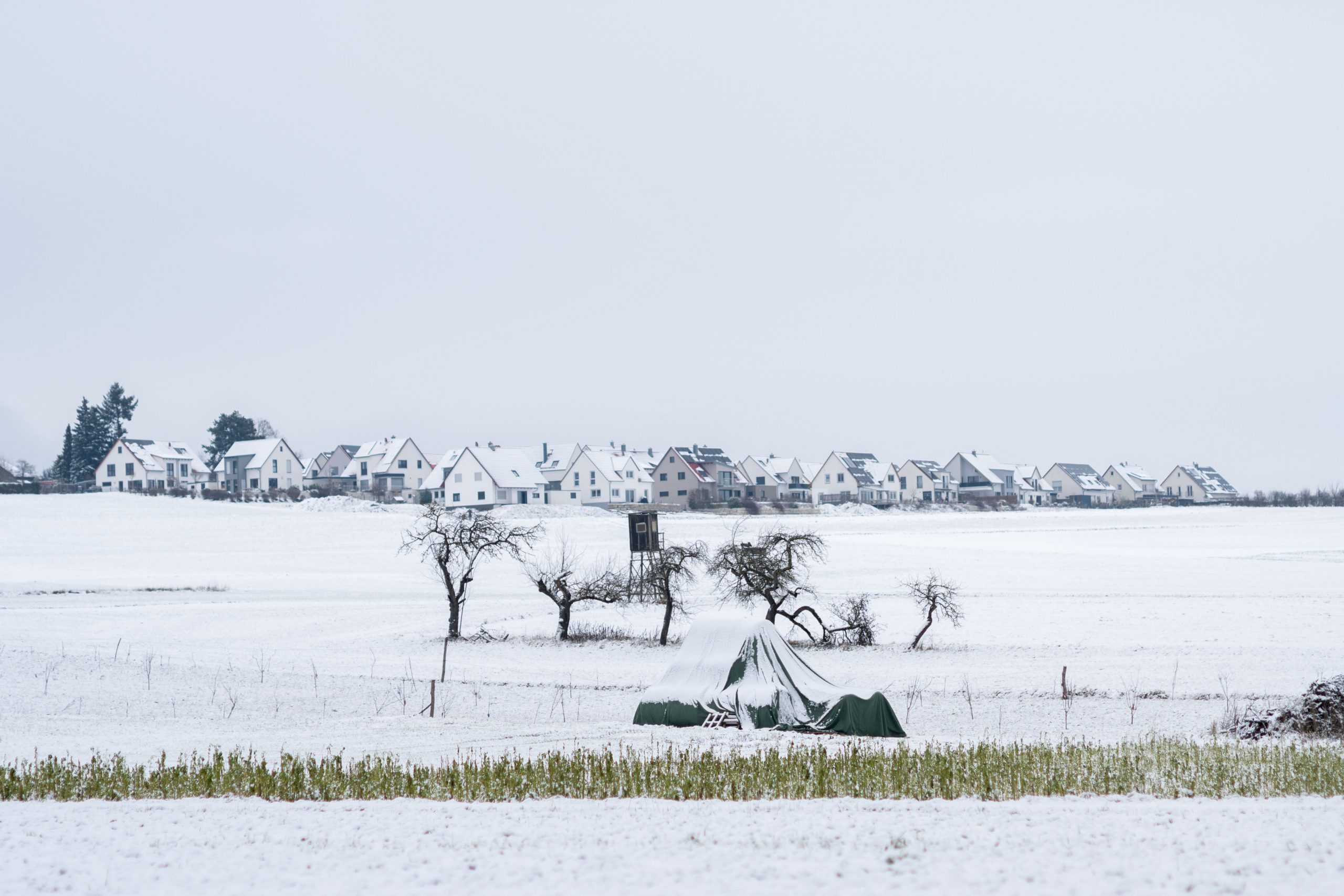 Aufnahme mit dem Nikon AI-s Nikkor 85mm f/1.4 bei f/2.8