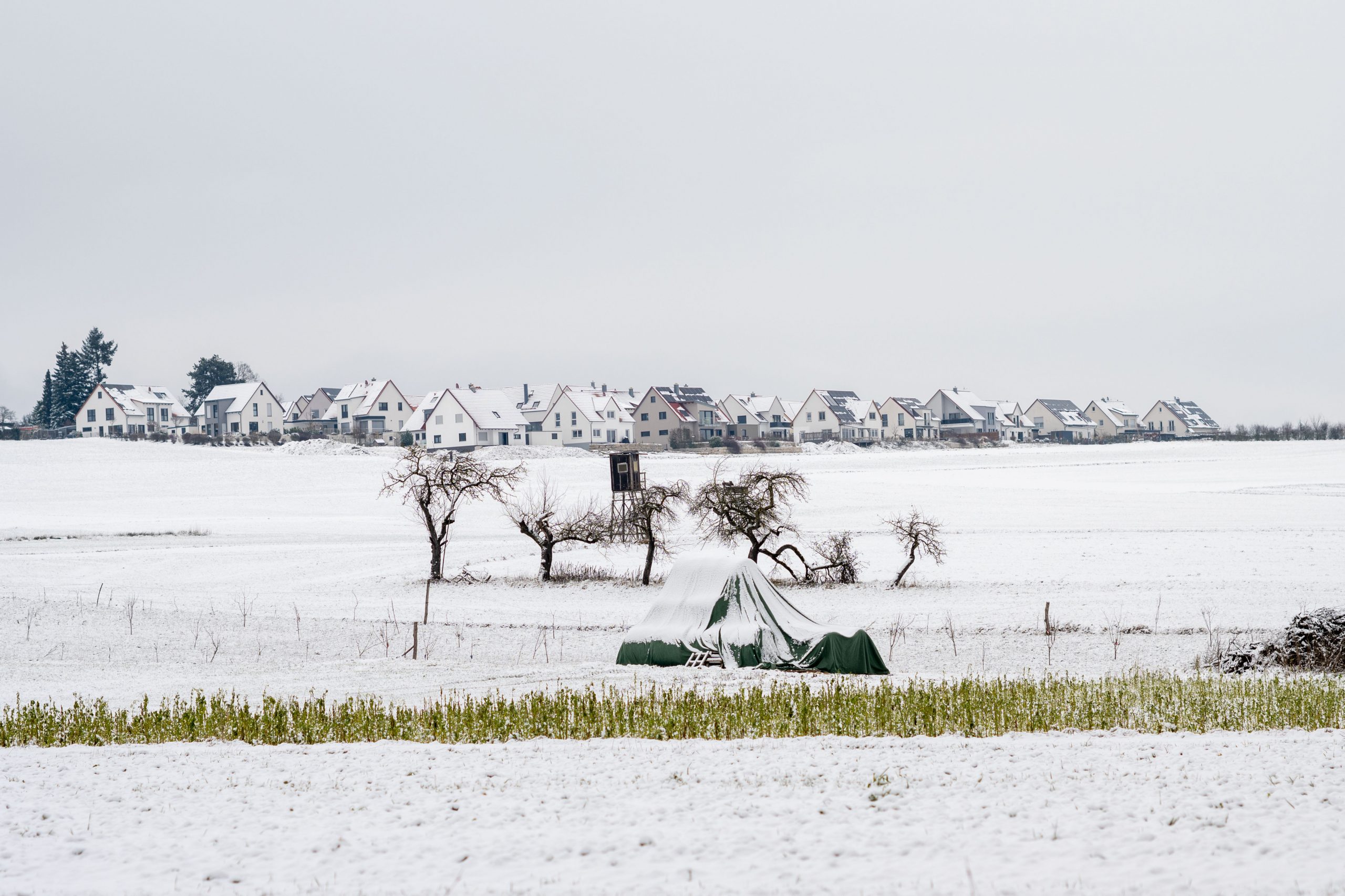 Aufnahme mit dem Nikon AI-s Nikkor 85mm f/1.4 bei f/5.6