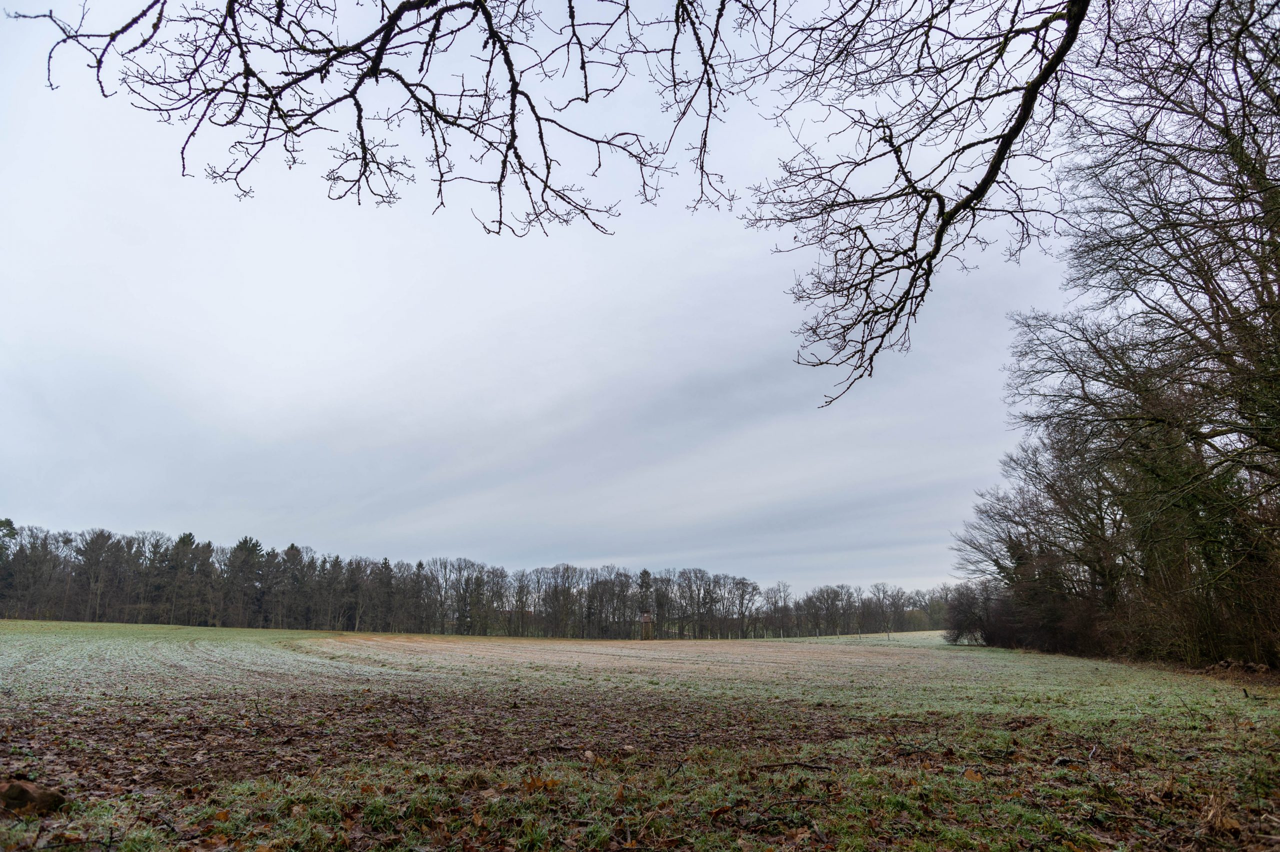 Aufgenommen mit Nikon Df und Nikon AF Nikkor 24-50mm f/3.3-4.5