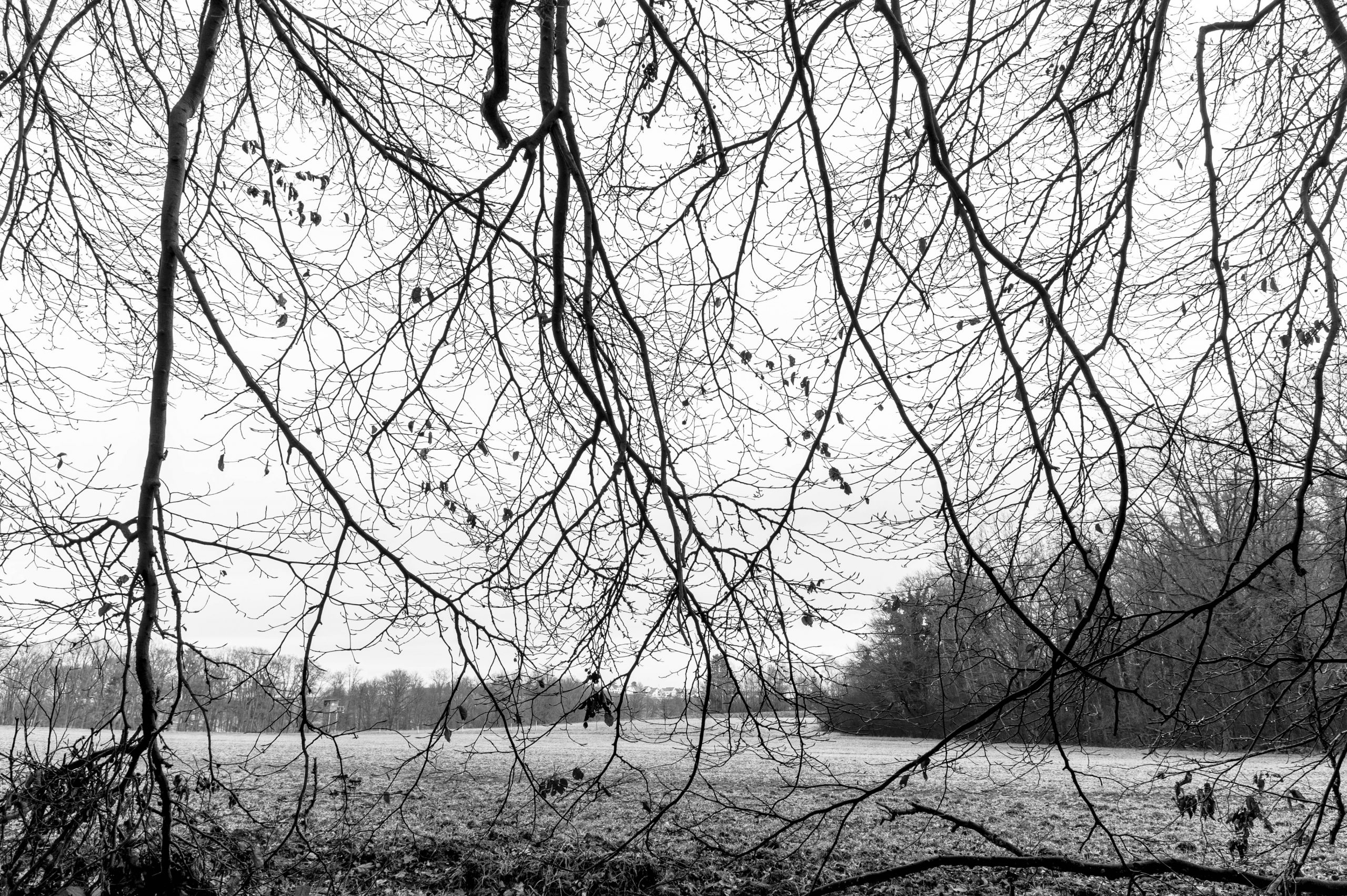 Aufgenommen mit Nikon Df und Nikon AF Nikkor 24-50mm f/3.3-4.5