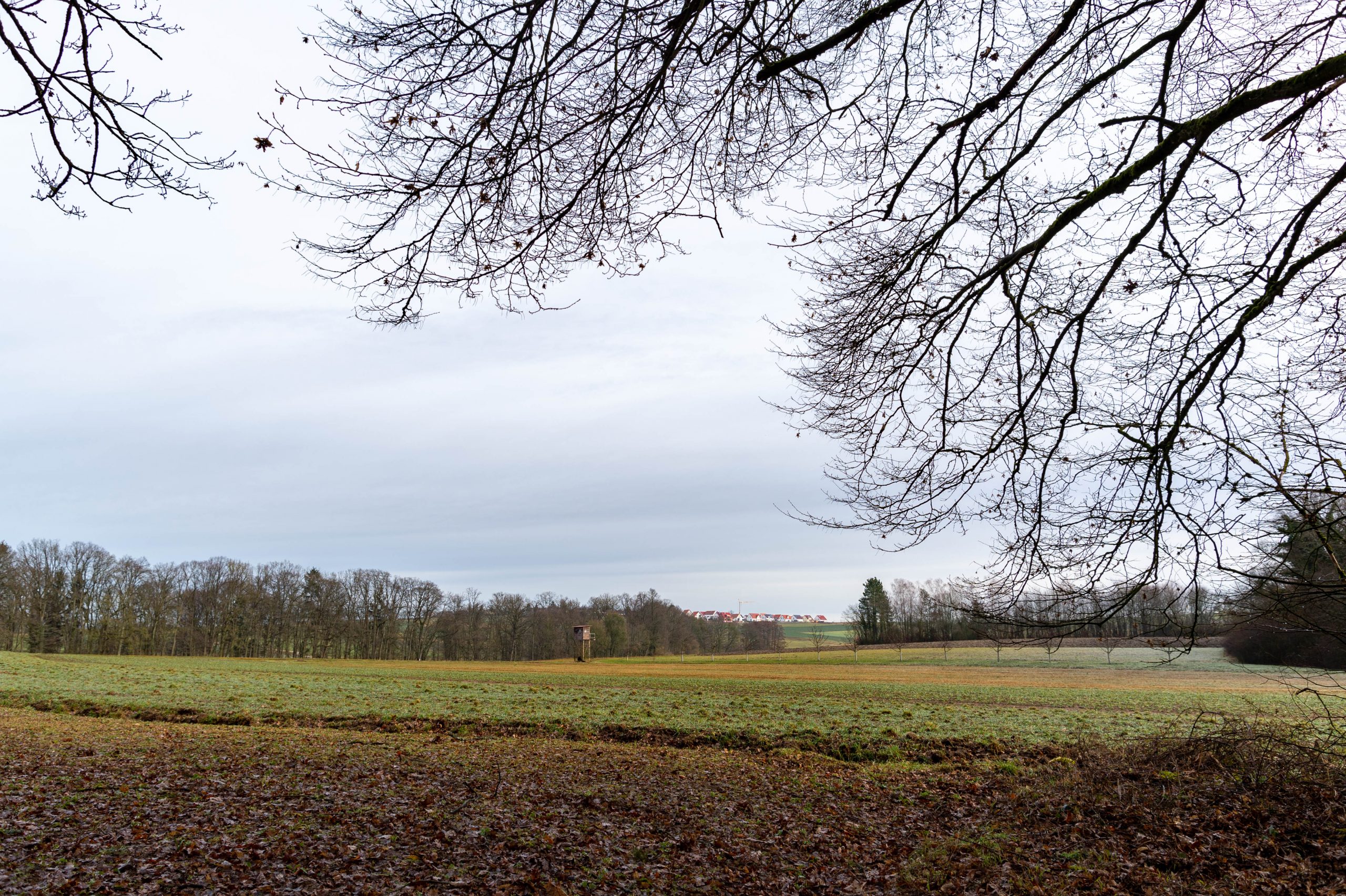 Aufgenommen mit Nikon Df und Nikon AF Nikkor 24-50mm f/3.3-4.5