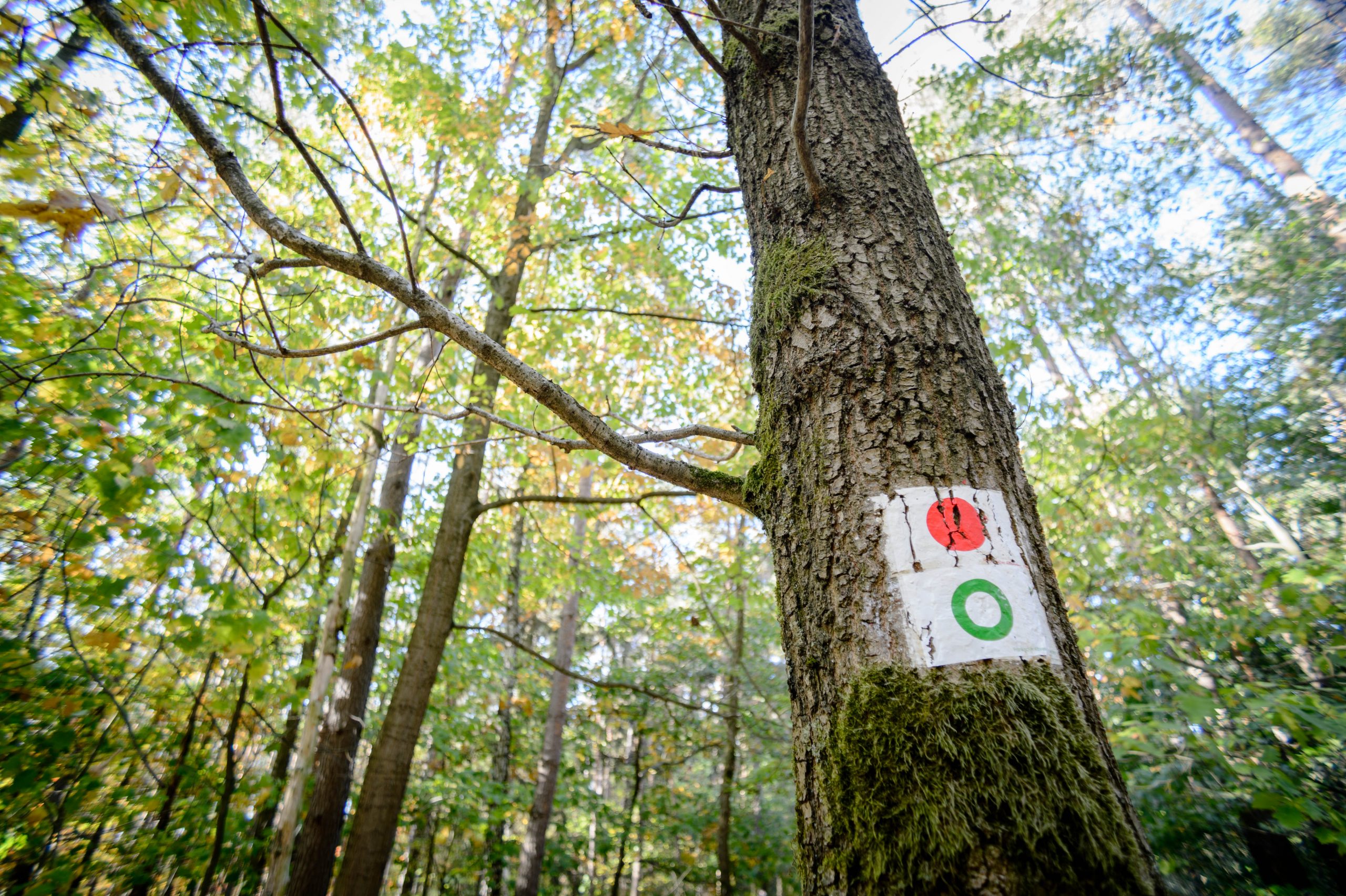 Fotografiert mit Tokina AT-X 17 AF an einer Nikon Df