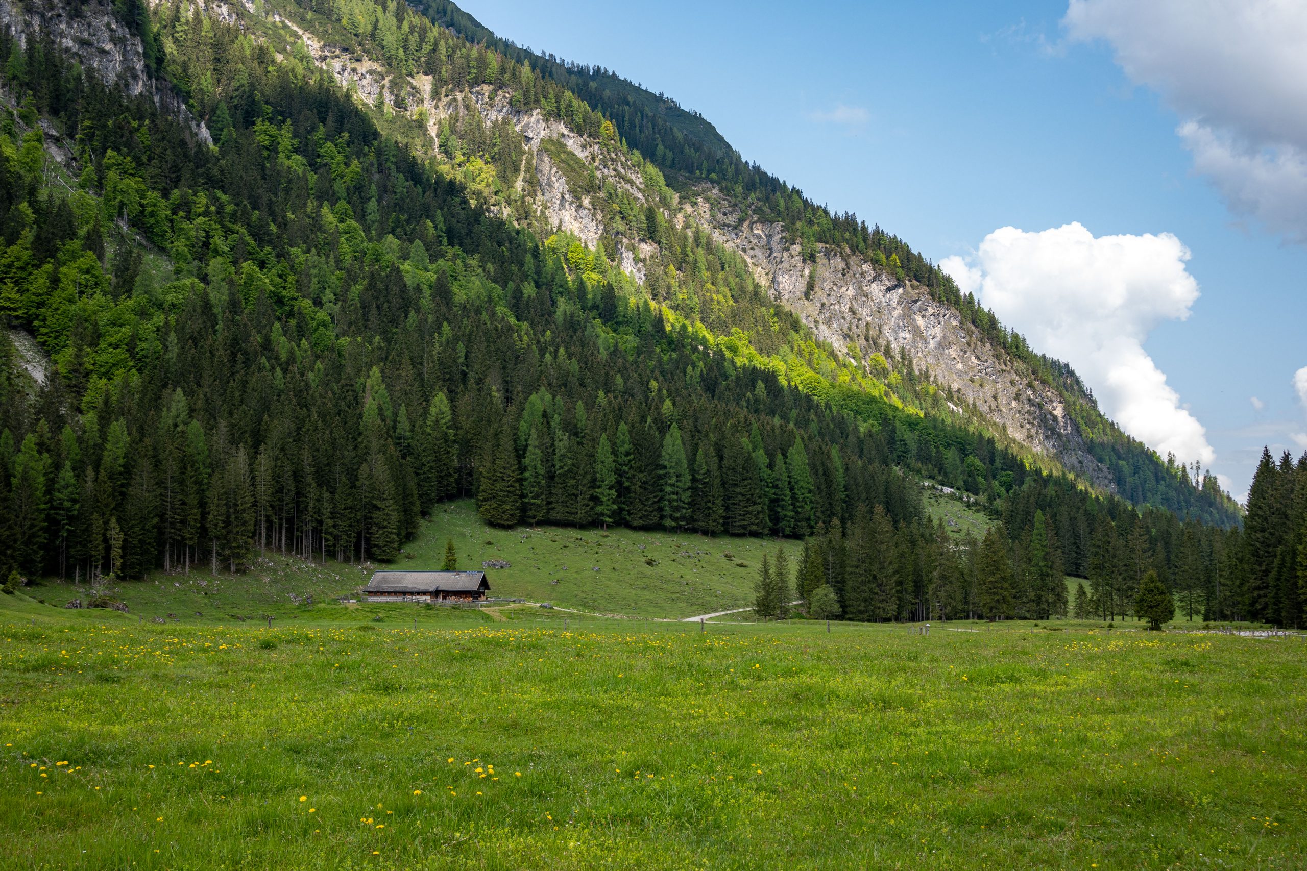 Fotografiert mit Nikon Z Nikkor 28mm f/2.8 an einer Nikon Zfc