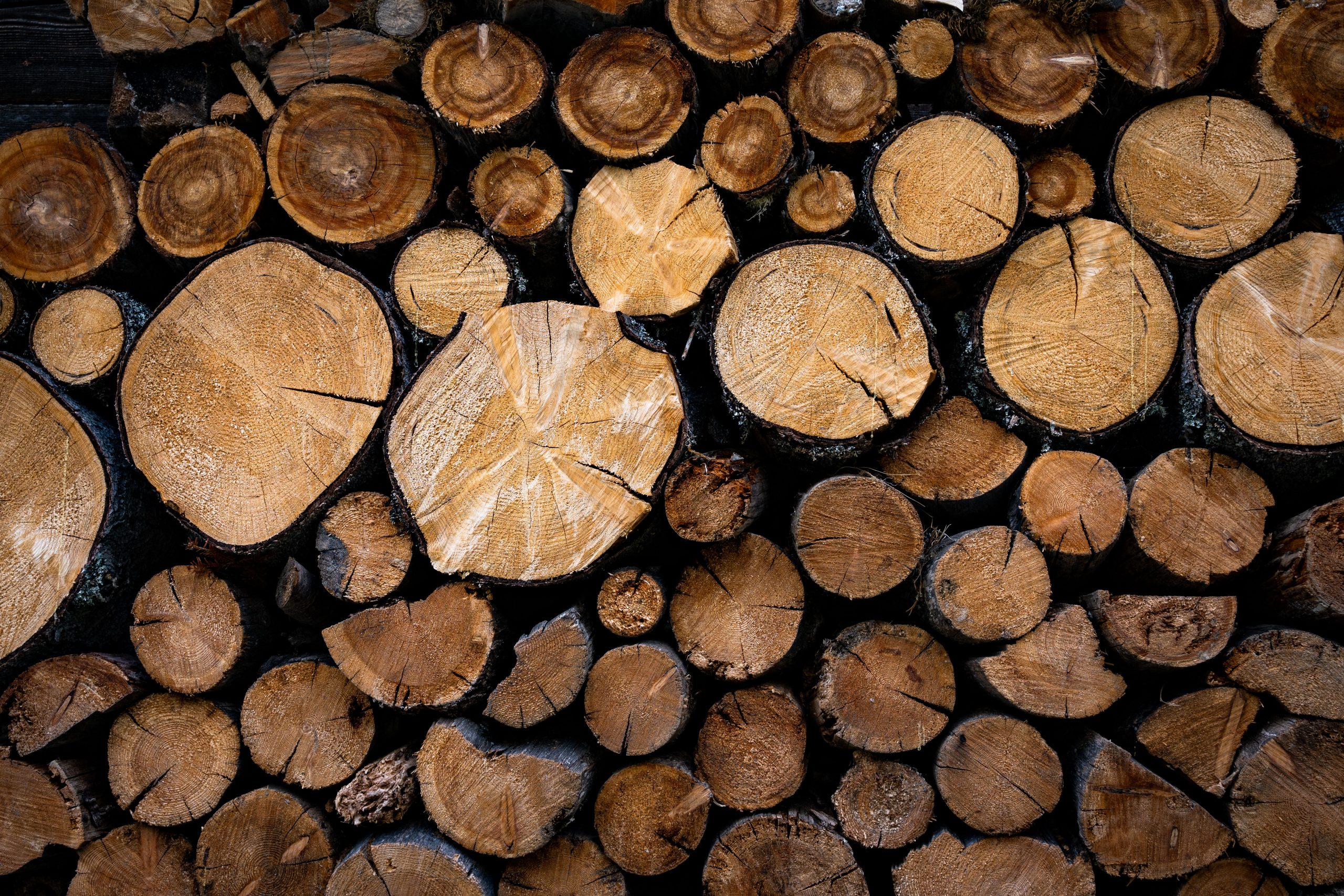 Fotografiert mit Nikon Z Nikkor 28mm f/2.8 an einer Nikon Zfc