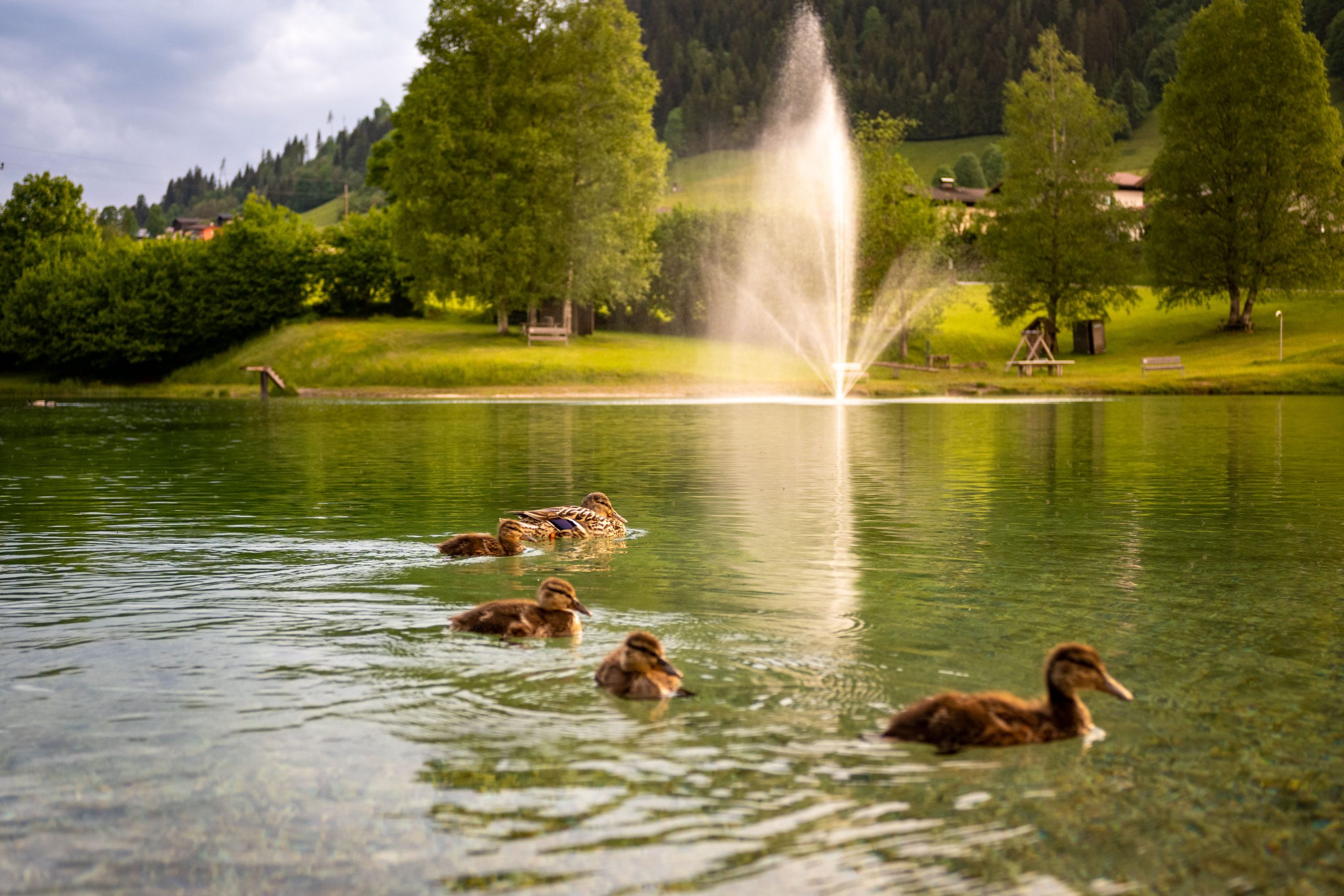 Fotografiert mit Nikon Z Nikkor 28mm f/2.8 an einer Nikon Zfc