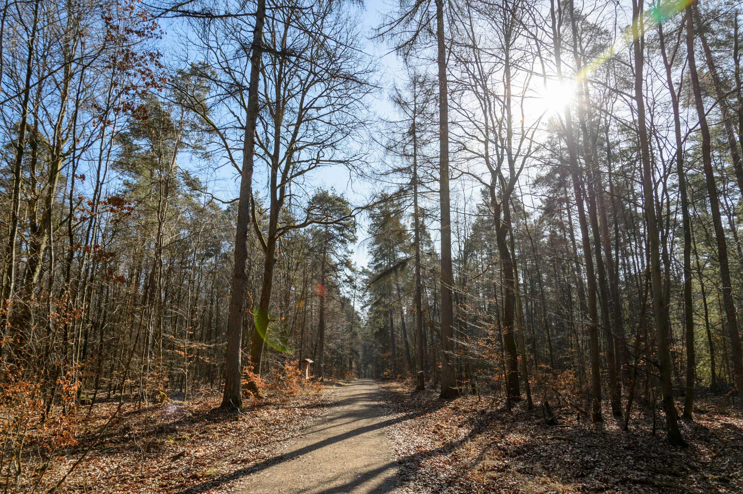 Fotografiert mit Nikon AF-S Nikkor 24-85mm f/3.5-4.5 G ED VR an einer Nikon Df