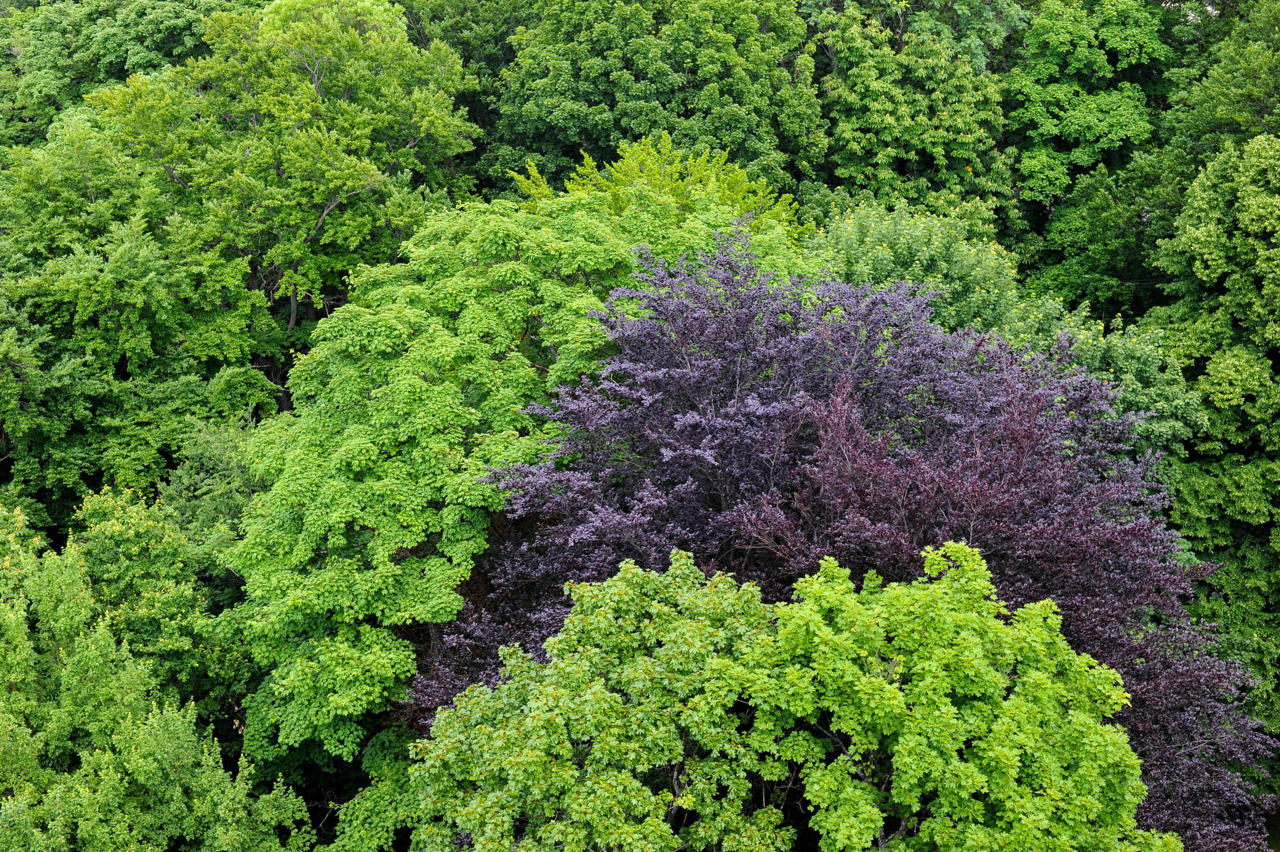 Fotografiert mit dem Tokina AT-X M100 PRO AF D an einer Nikon D700