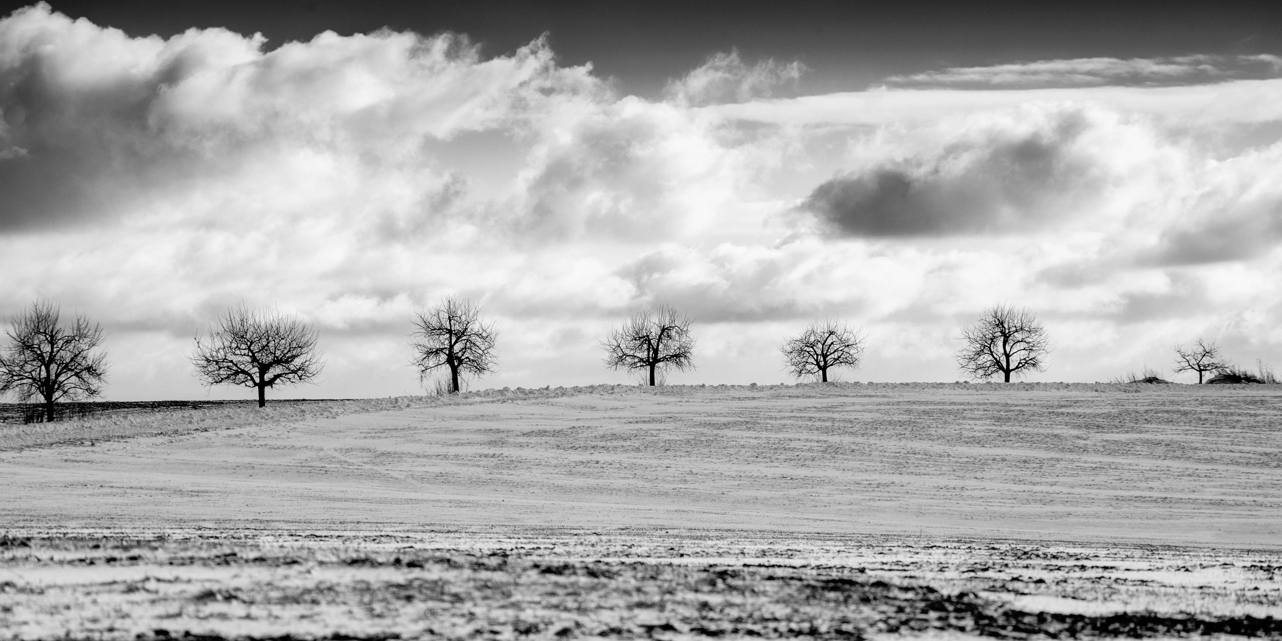 Fotografiert mit Carl Zeiss Jena MC Sonnar 3.5/135 für M42 Anschluss