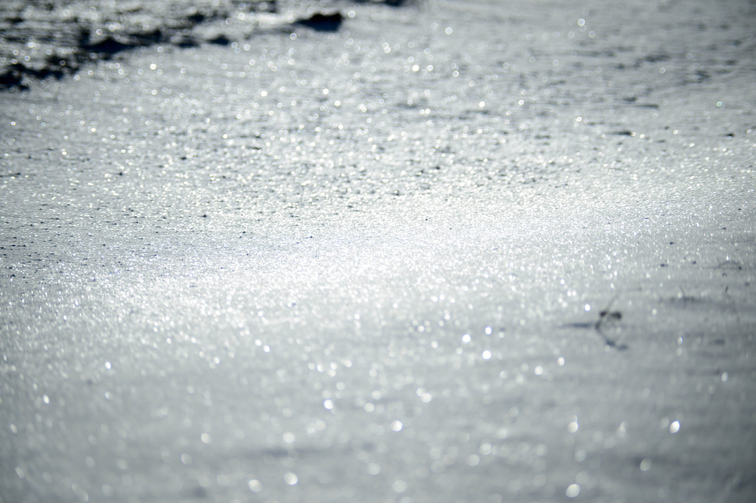 Fotografiert mit Carl Zeiss Jena MC Sonnar 3.5/135 für M42 Anschluss