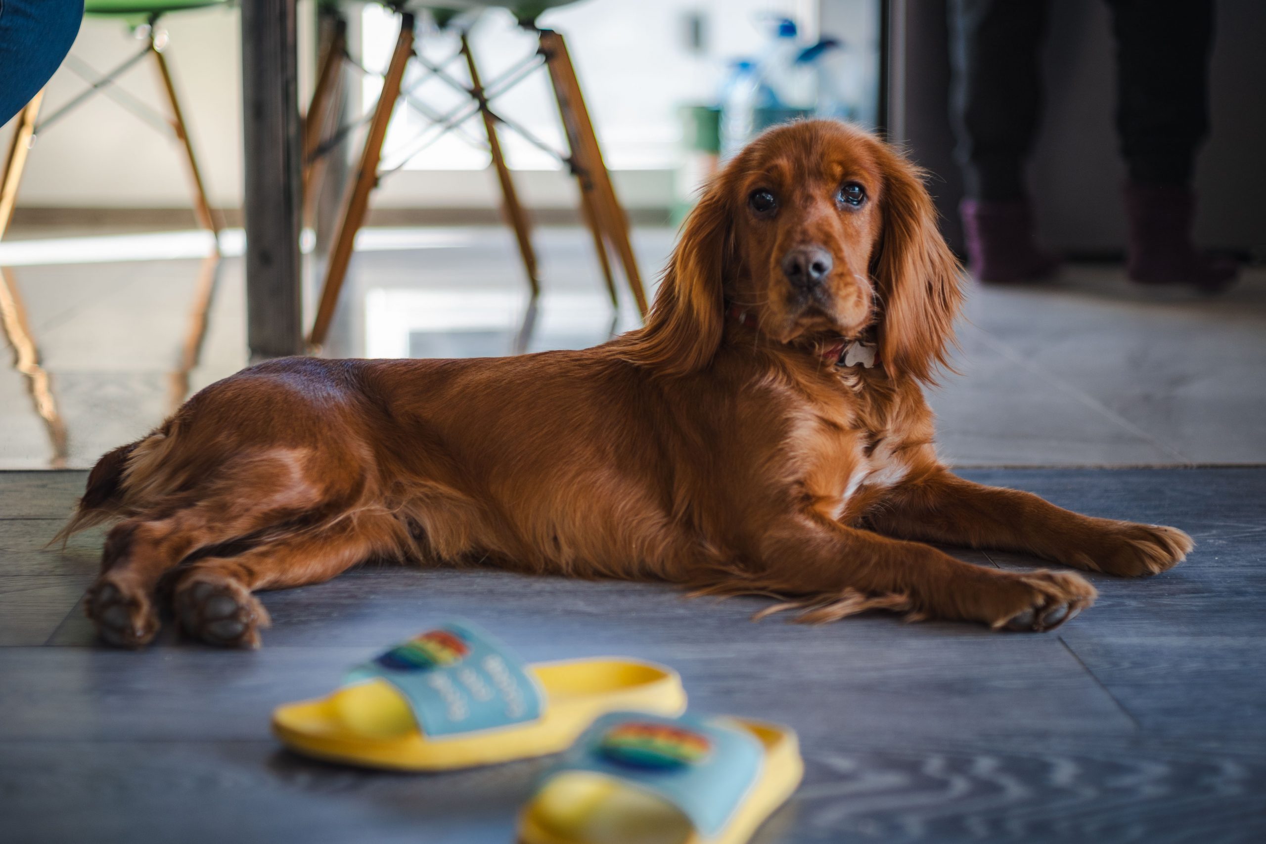 Fotografiert mit 7artisans 35mm f/1.2 II an einer Nikon Zfc