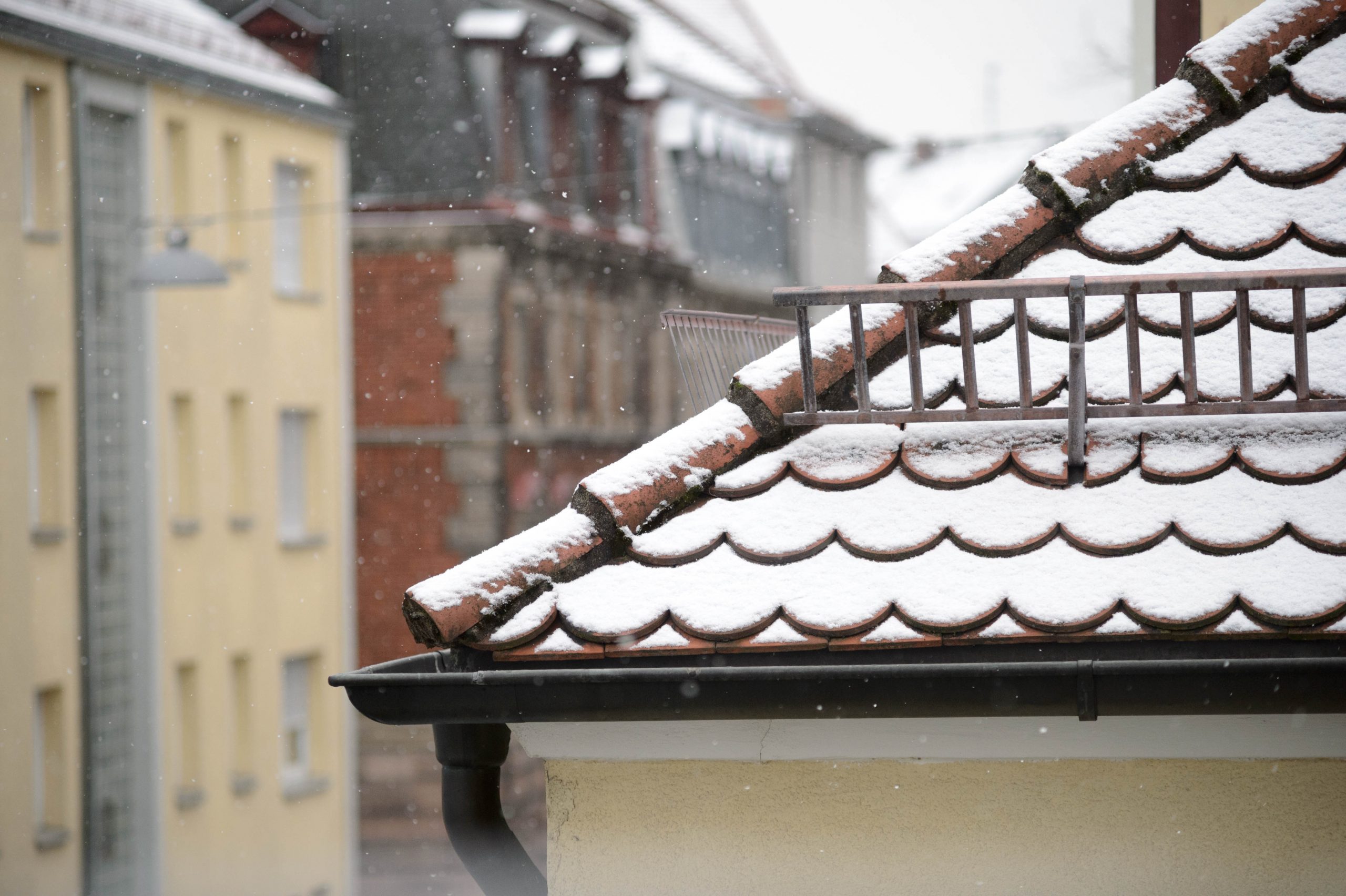 Nikon AF Nikkor 70-210mm f/4 bei Offenblende f/4 und 135mm