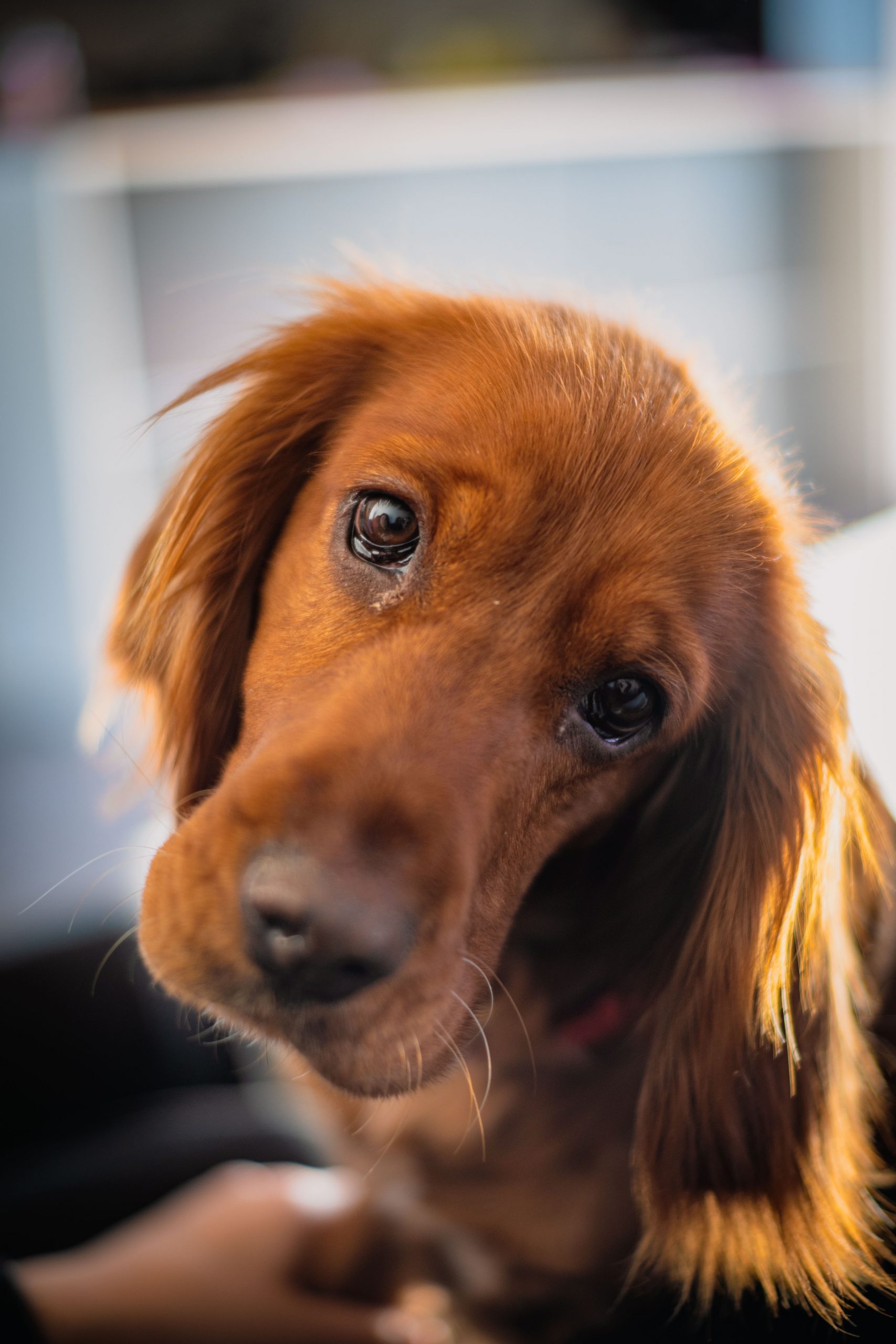 Fotografiert mit 7artisans 35mm f/1.2 II an einer Nikon Zfc