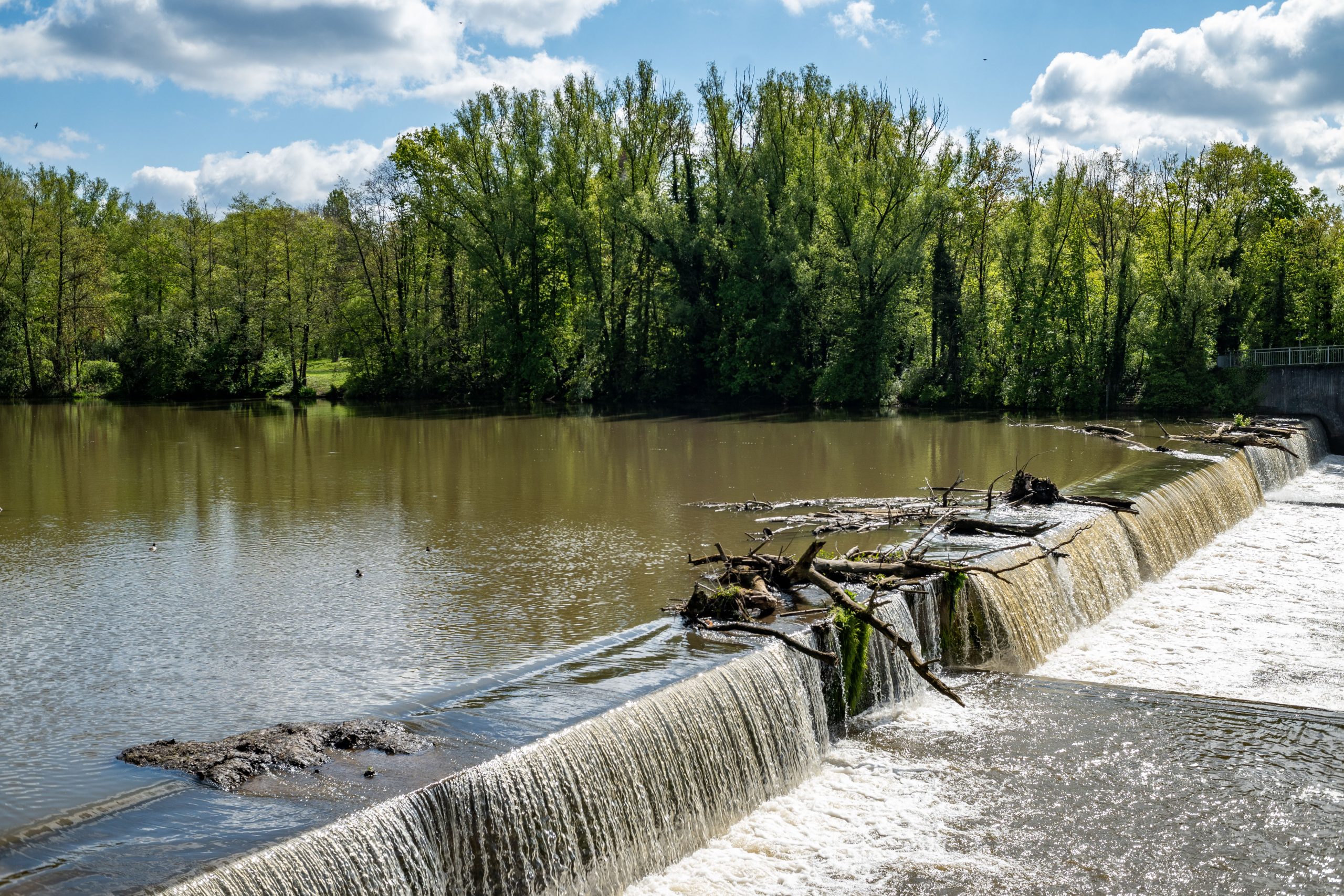 Aufgenommen mit dem TTartisan 25mm f2 an der Nikon Zfc