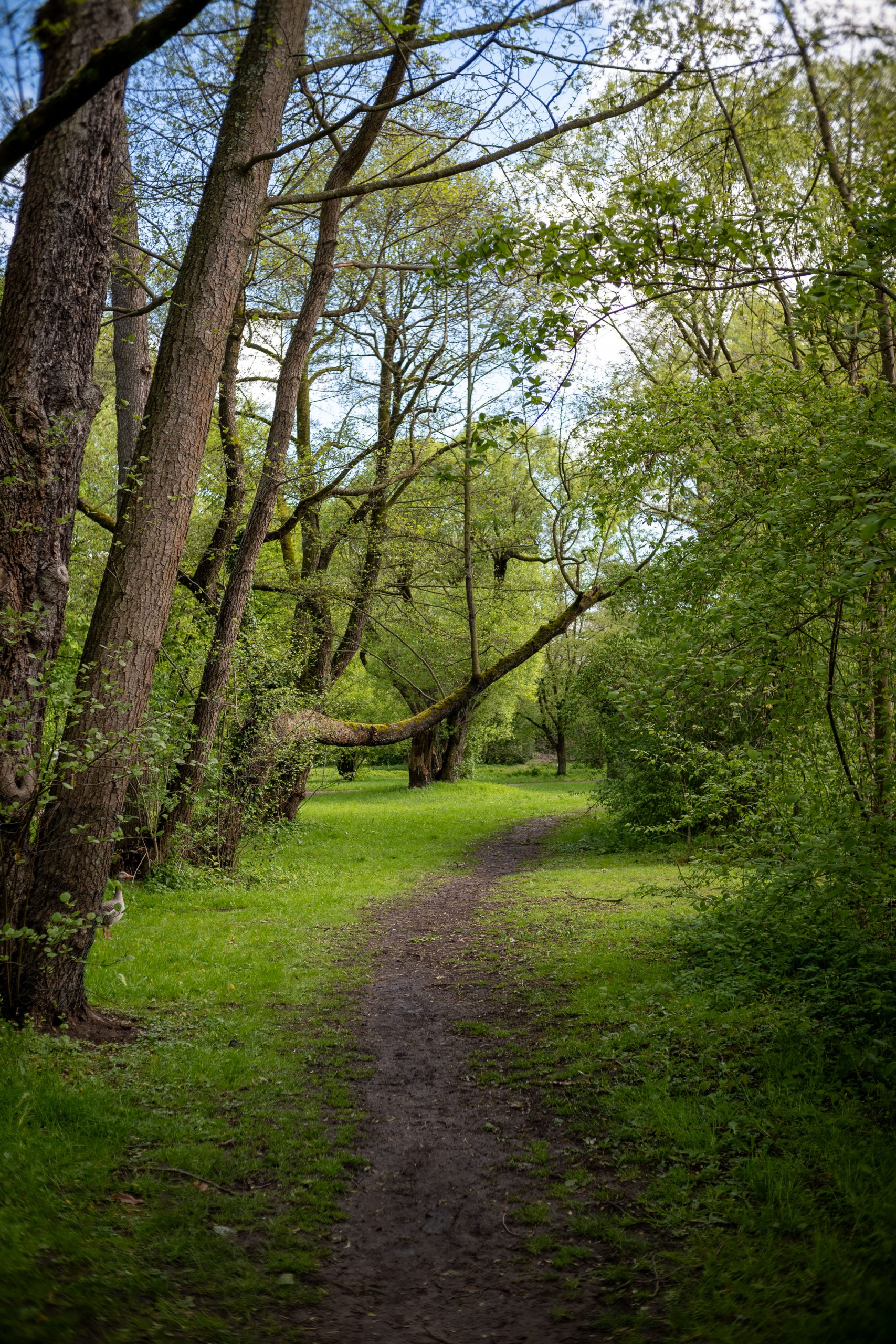 Aufgenommen mit dem TTartisan 25mm f2 an der Nikon Zfc