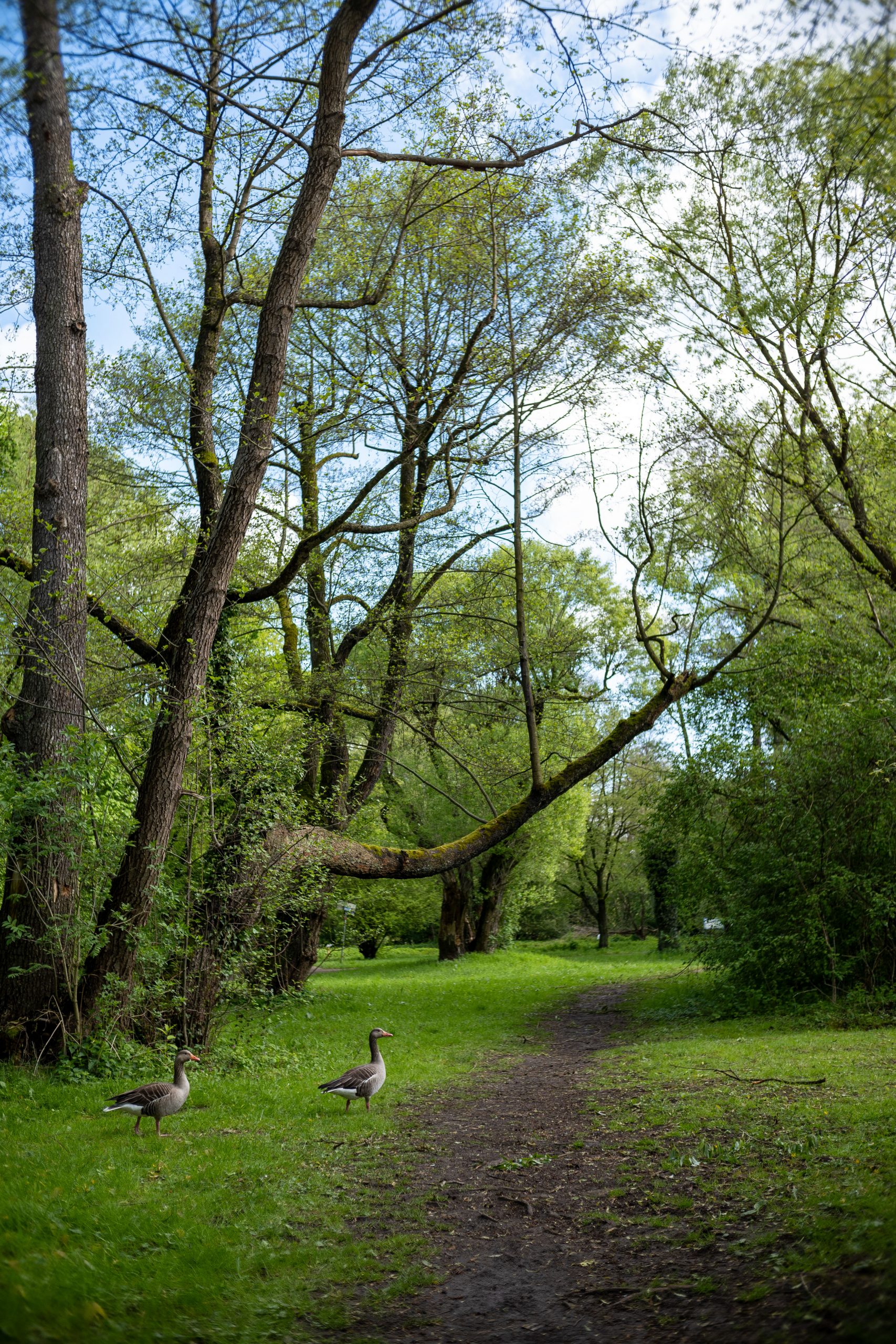 TTartisan 25mm f2 bei f/5.6 an der Nikon Zfc