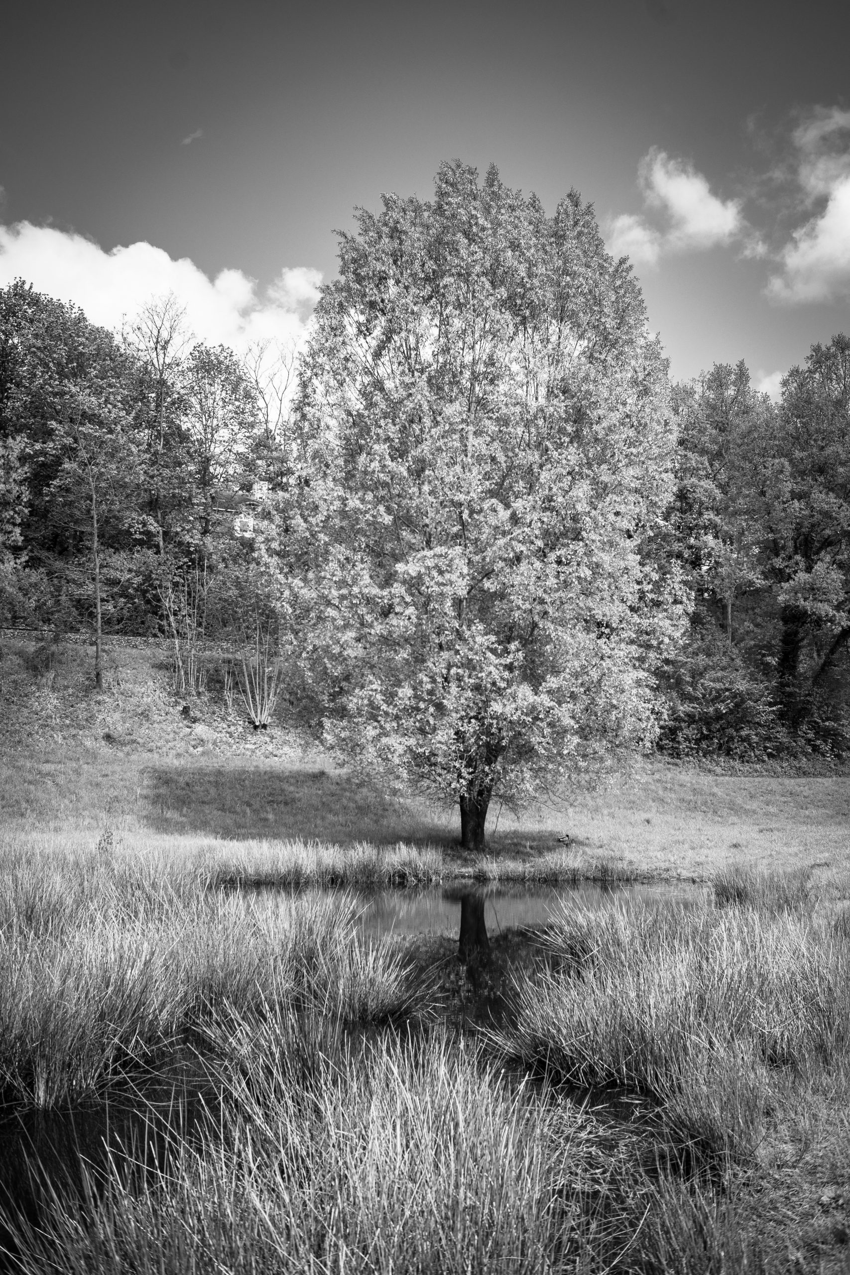 Aufgenommen mit dem TTartisan 25mm f2 an der Nikon Zfc