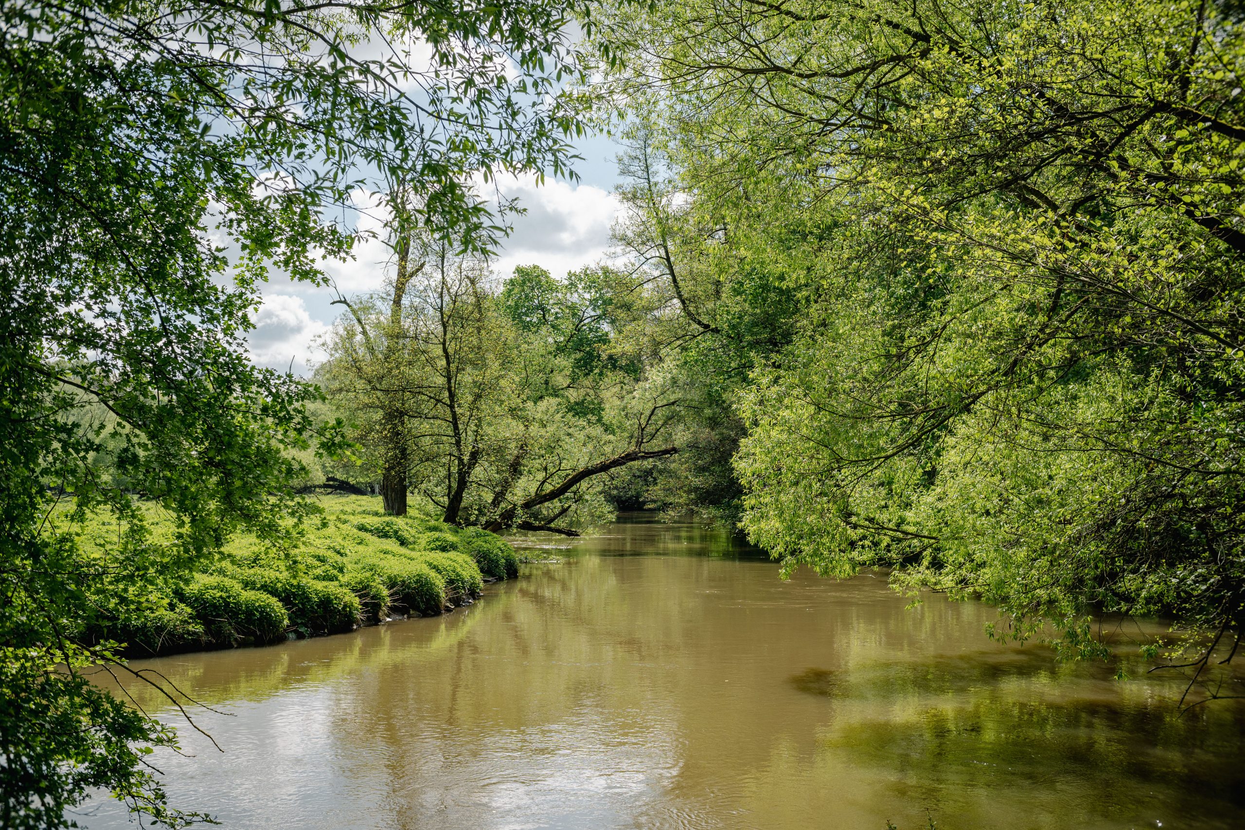 Aufgenommen mit dem TTartisan 25mm f2 an der Nikon Zfc