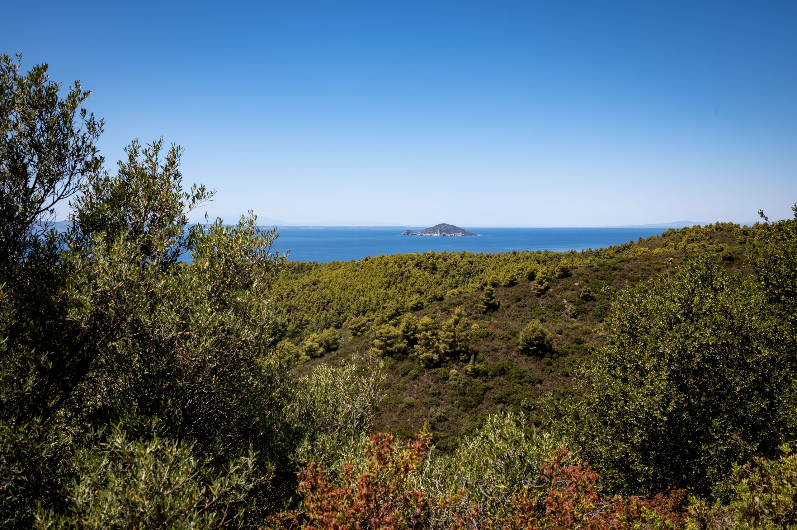 Aufgenommen mit dem Nikon AF-S Nikkor 35mm f/1.8 G ED an einer Nikon D780