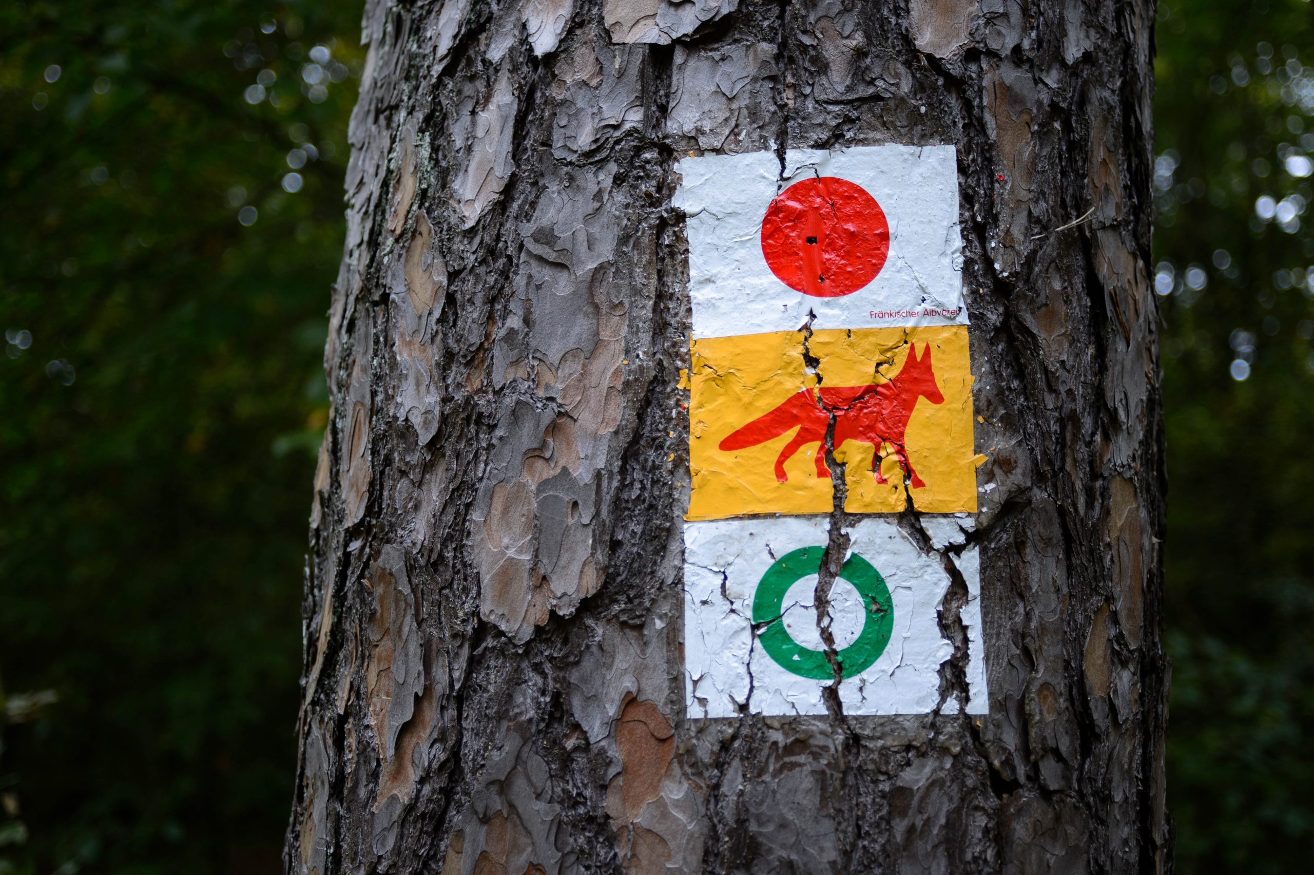 Aufgenommen mit Nikon AF Nikkor 28-80mm f/3.3-5.6 G und Nikon Df: 48mm, f/4.2, 1/80s, ISO160