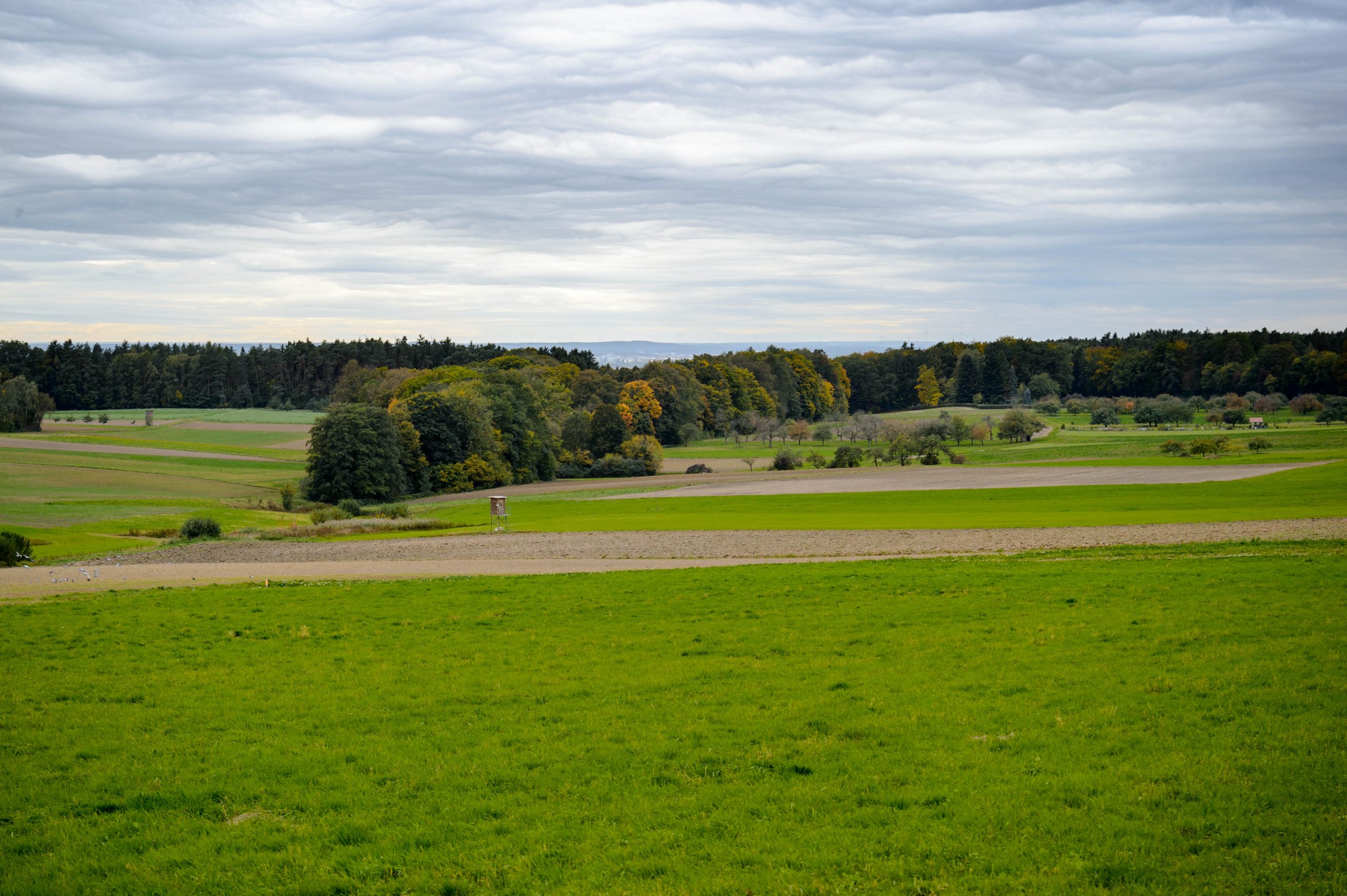 Aufgenommen mit Nikon AF Nikkor 28-80mm f/3.3-5.6 G und Nikon Df