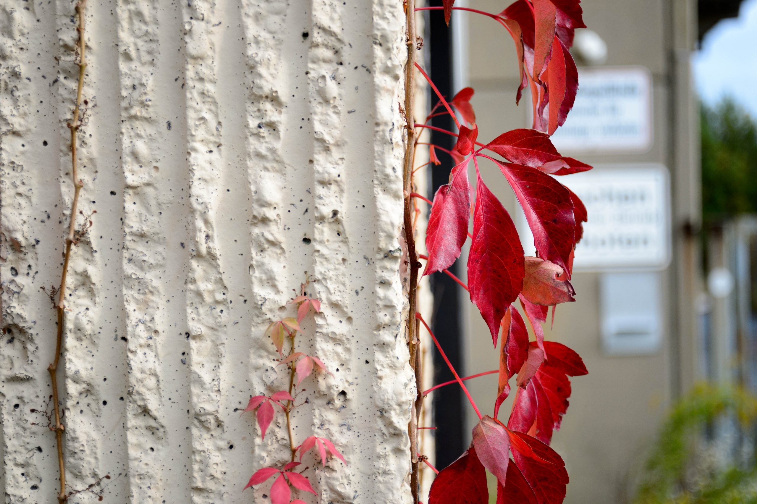 Aufgenommen mit Nikon AF Nikkor 28-80mm f/3.3-5.6 G und Nikon Df