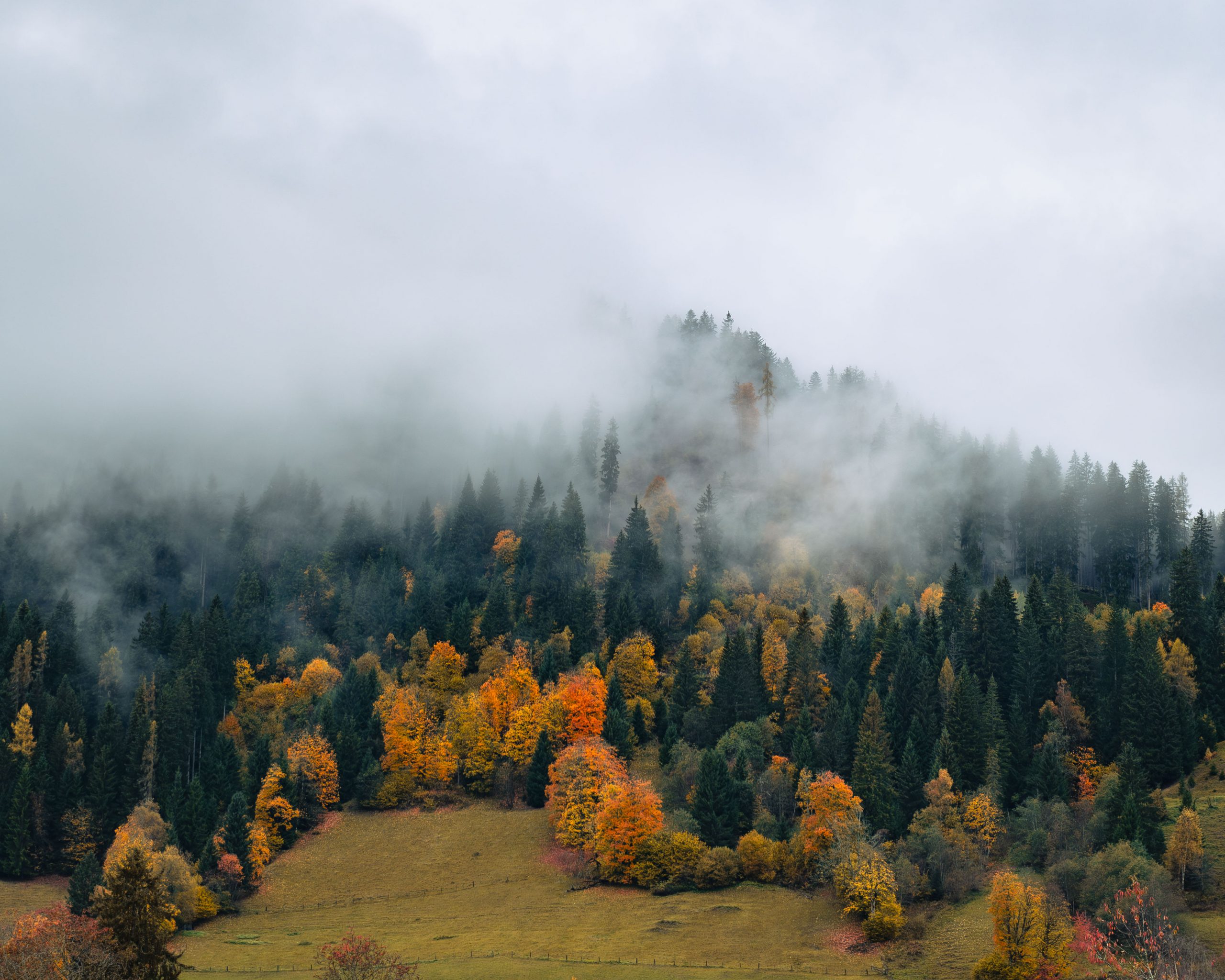 Fotografiert mit Nikon AF-S Nikkor 24-70mm f/2.8 G ED an einer Nikon D780