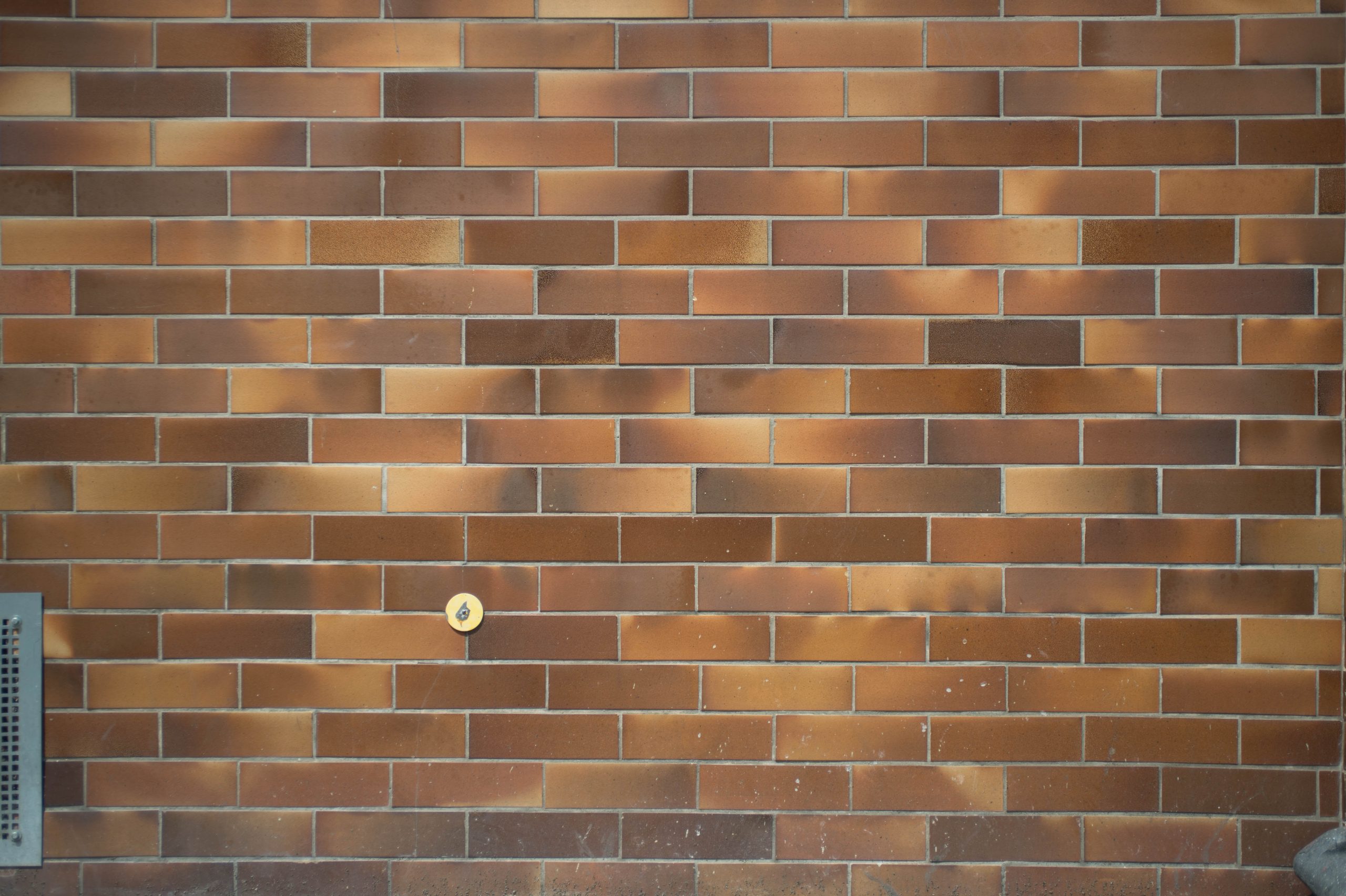 Nikon AF Nikkor 35-70mm f/2.8 D an einer Nikon Df bei 52mm und f/2.8