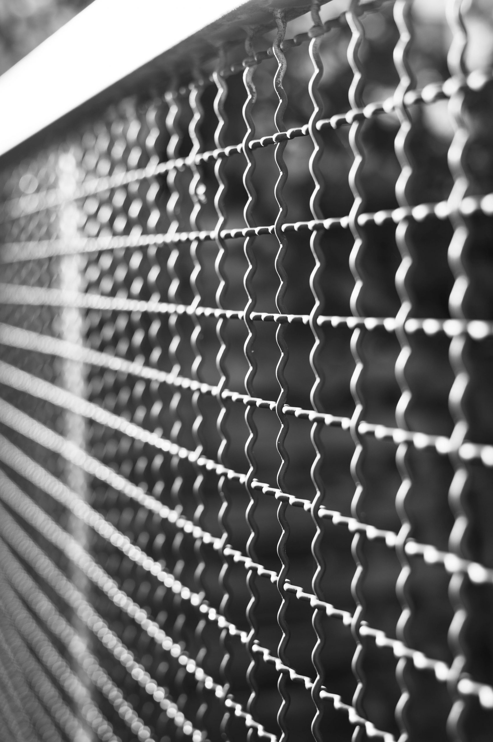 Fotografiert mit Nikon AF-S Nikkor 58mm f/1.4 G an einer Nikon D780