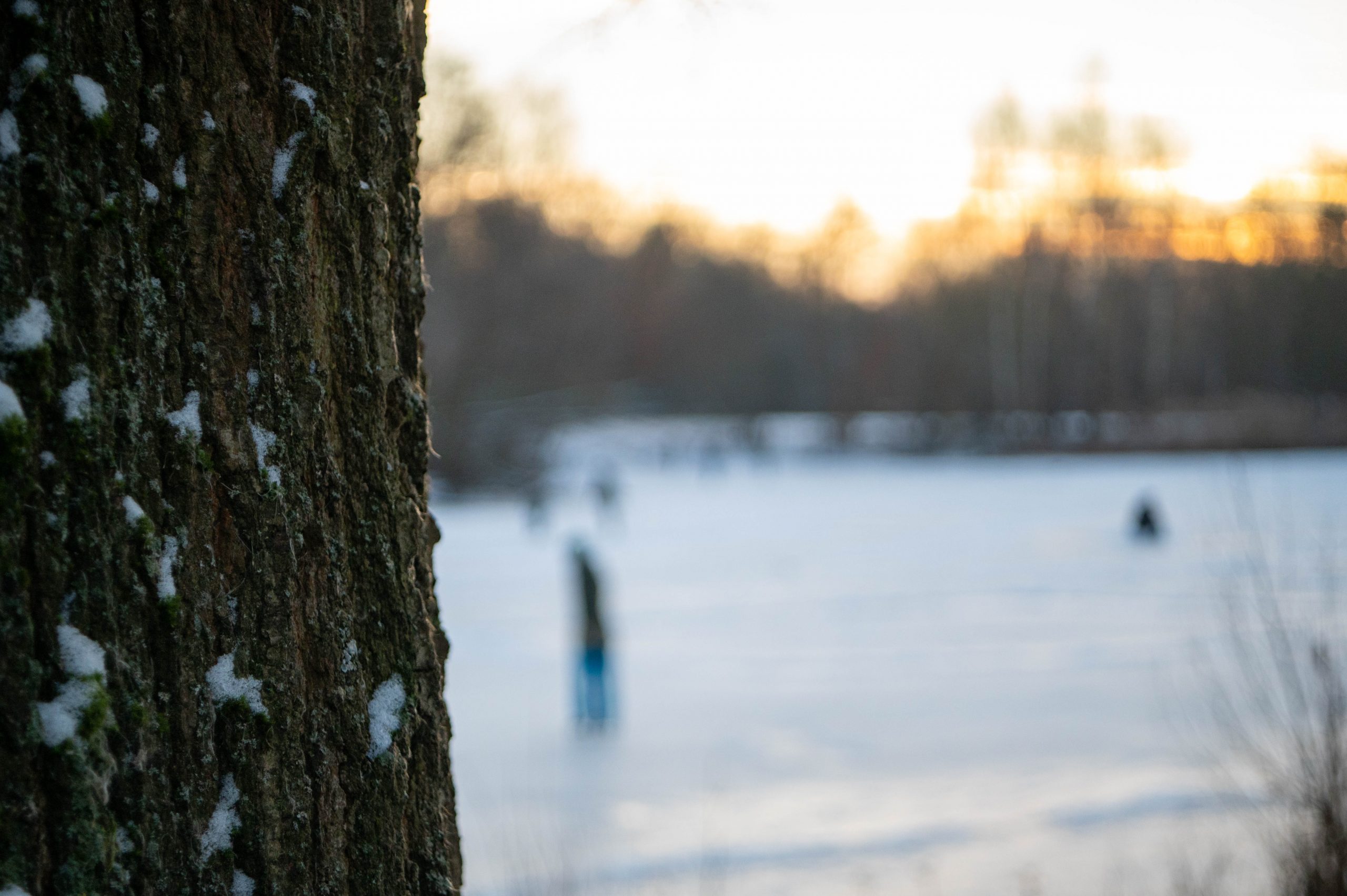 Beispielfoto mit dem Nikon AF Nikkor 28-80mm f/3.5-5.6 D an einer Nikon D780